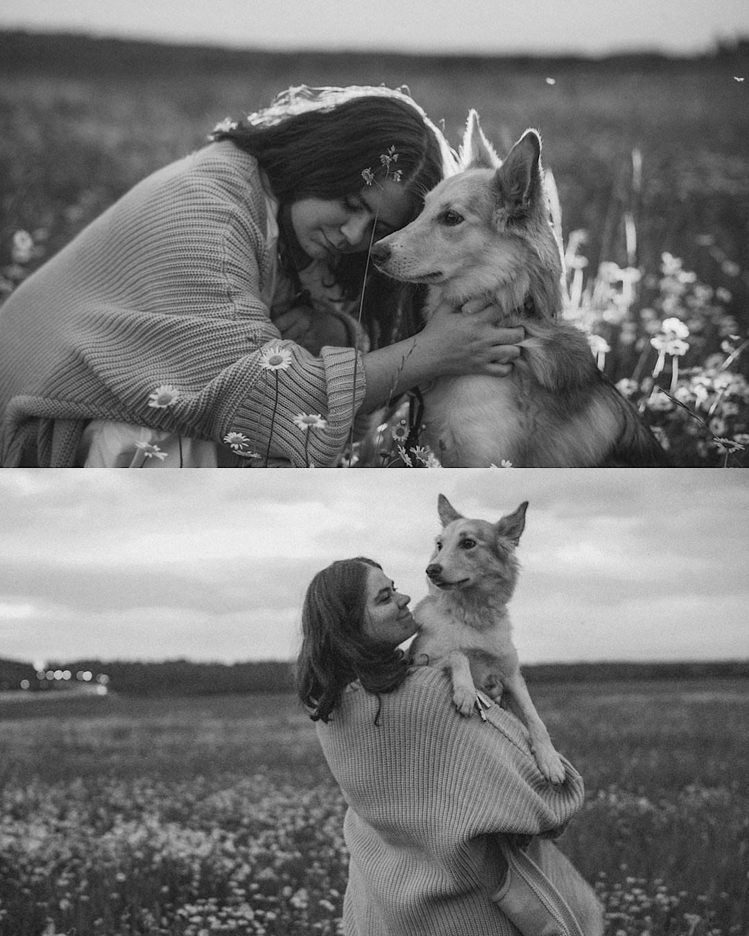 Соня и Кора. Фотограф анималист в Москве и Санкт-Петербурге Свиридова Анна