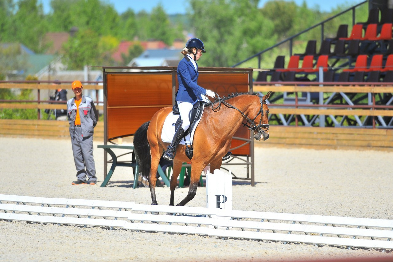 Отзывы. ТУРНИРНАЯ КОННАЯ ФОТОГРАФИЯ, Руднева Ольга и Евгений Адеев