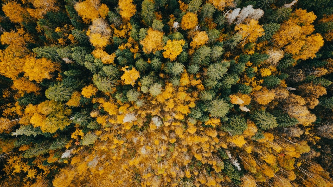 Аэросъемка