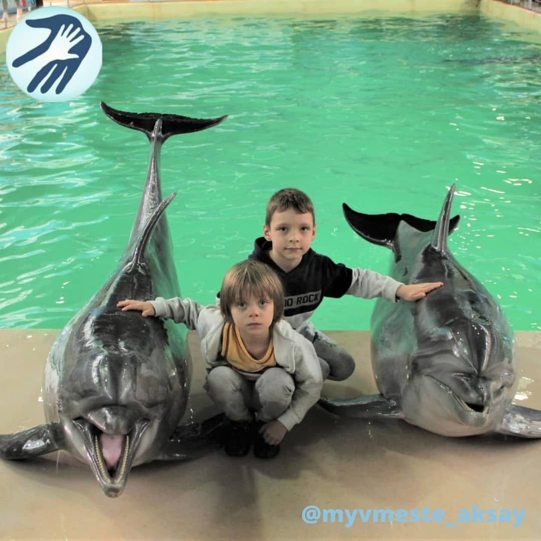 Море восторга в Ростовском дельфинарии!