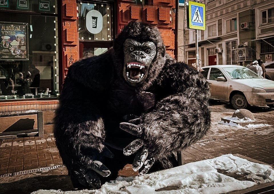 Эксперсс поздравление.ростовые куклы, медведь, панда, горилла. Организатор праздников. Ведущая Марина Гребенникова