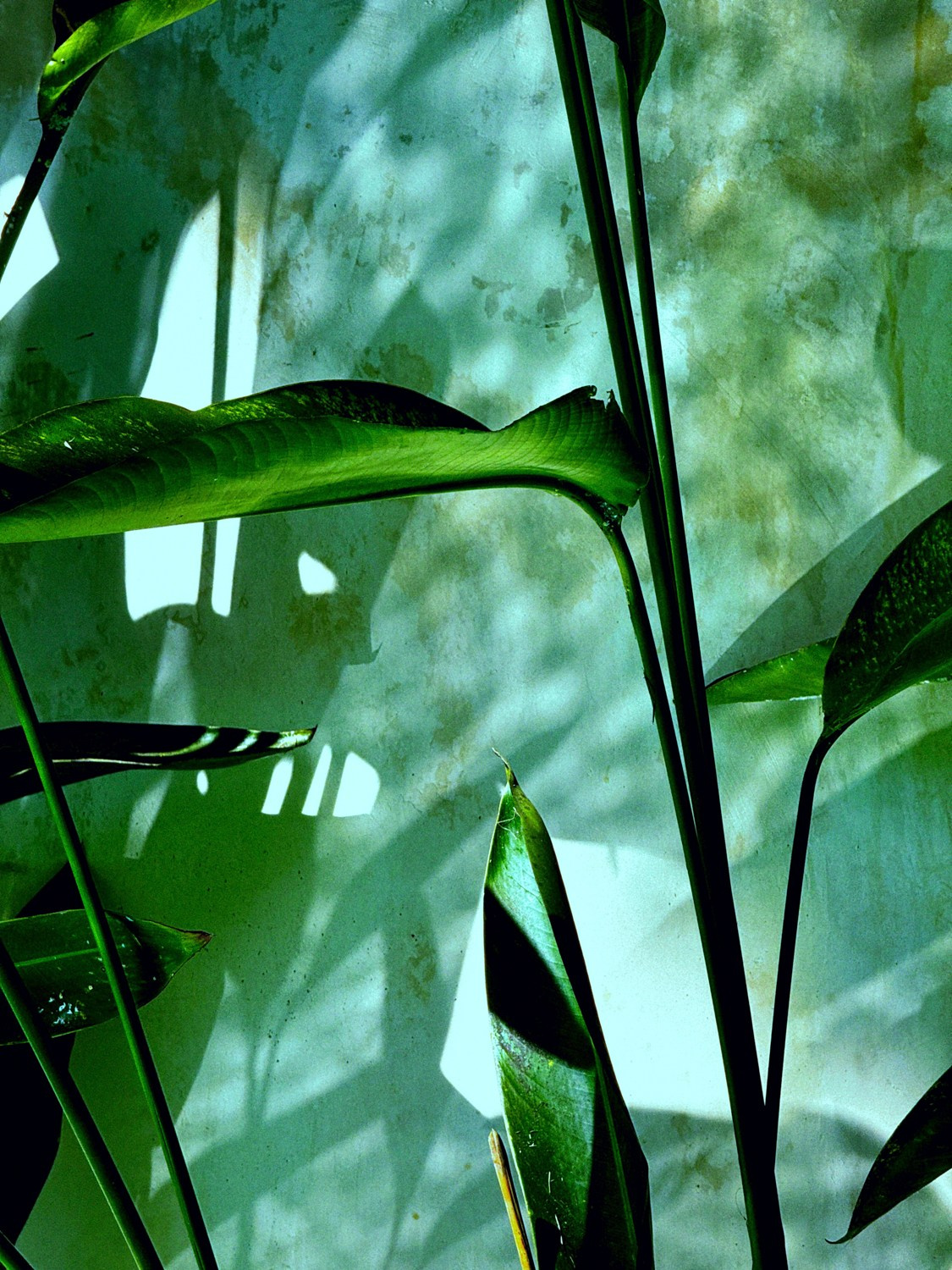 Современная концептуальная фотография о теле, уязвимости и идентичности. Визуальная практика на стиле честности, пост-иронии и искусства.Рекламная фотография, Концептуальная фотография, Современный художник, Психология, Коммерческий фотограф, Репортажный фотограф, Стрит фотография, Арт, Сюрреализм, Мобильная фотография, Снято на айфон, Дима Бурза