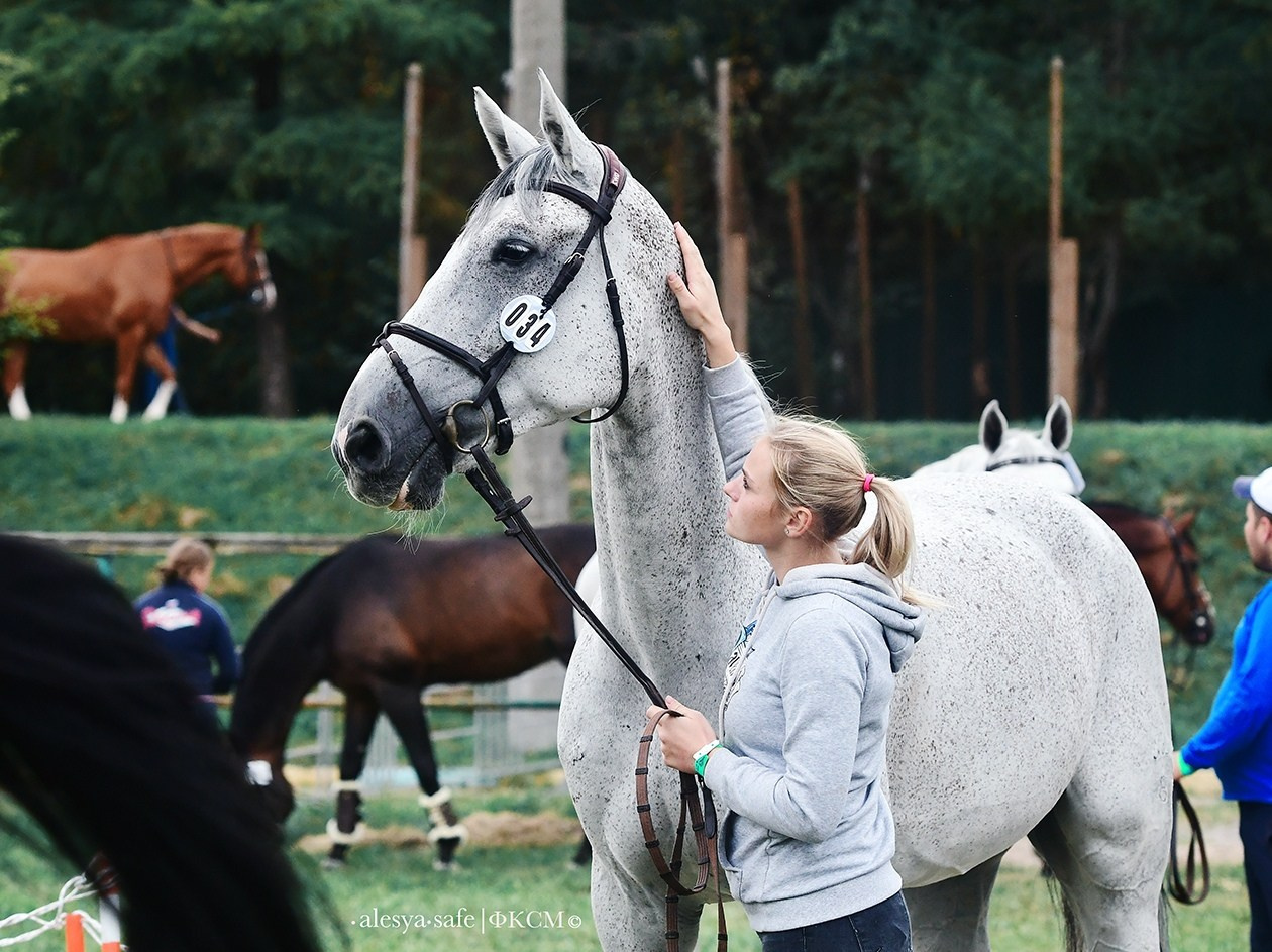 Кск Битца. Конный фотограф Alesya Safe