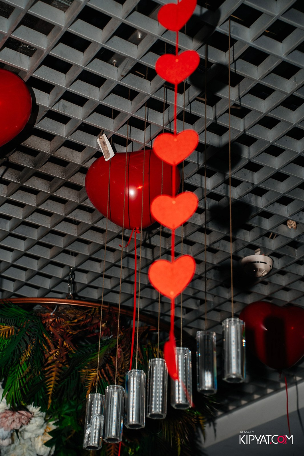 УХО И МЕДВЕДЬ НА КУРМАНГАЗЫ. КИПЯТКОМ АЛМАТЫ!