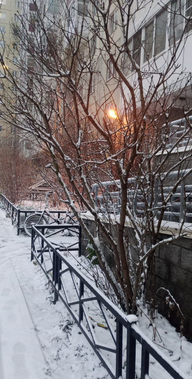 Красуйся, град Петров!. Фотокружок «Видоискатель» ГБОУ СОШ № 291