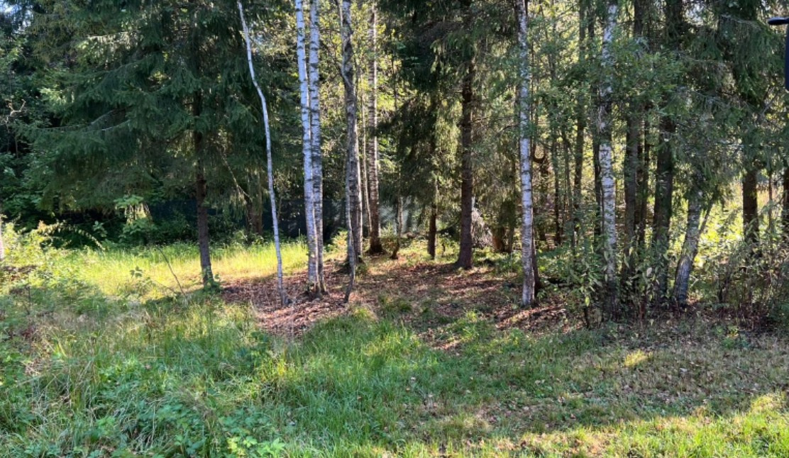 Green мз церемония