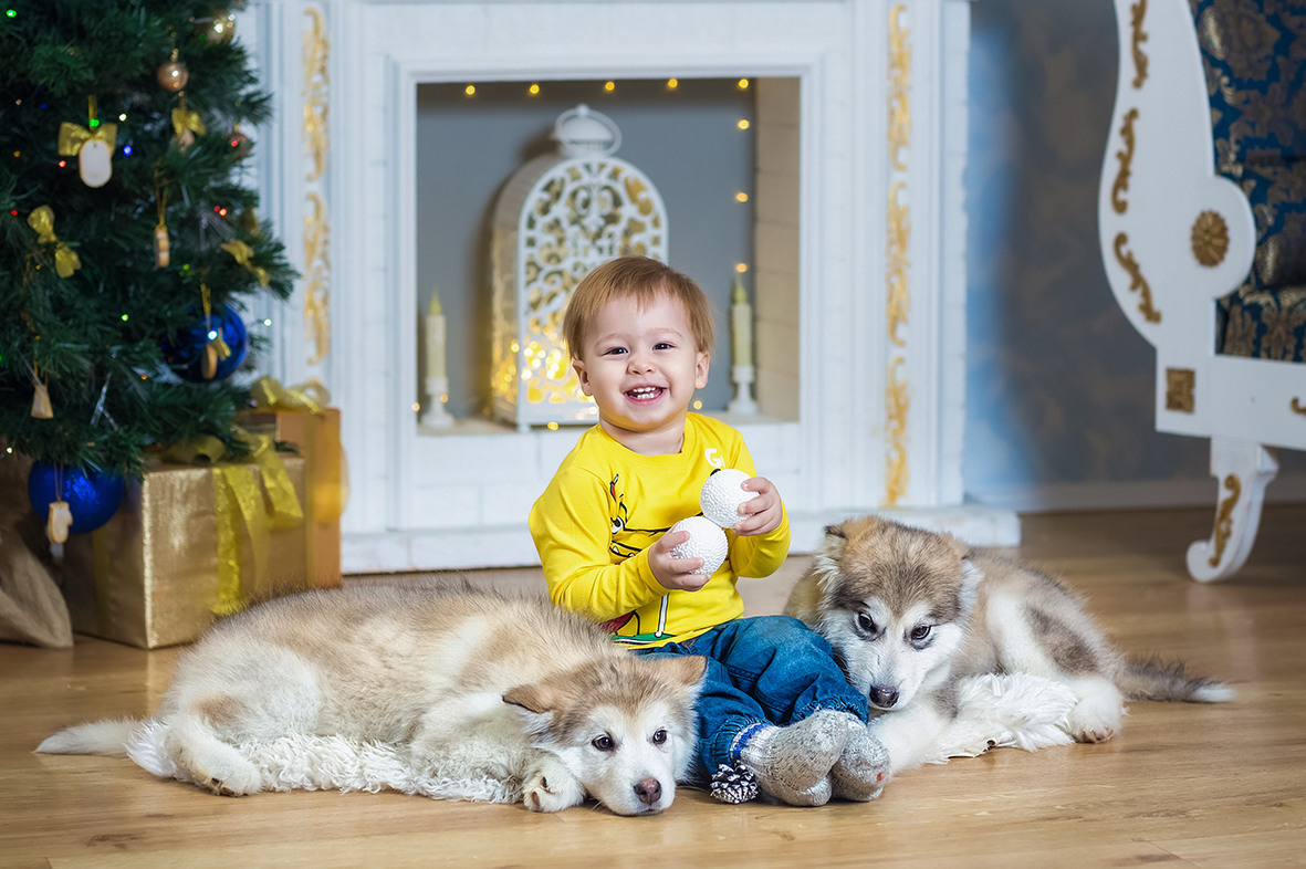 Новогодняя, зимняя, семейная фотосессия в студии