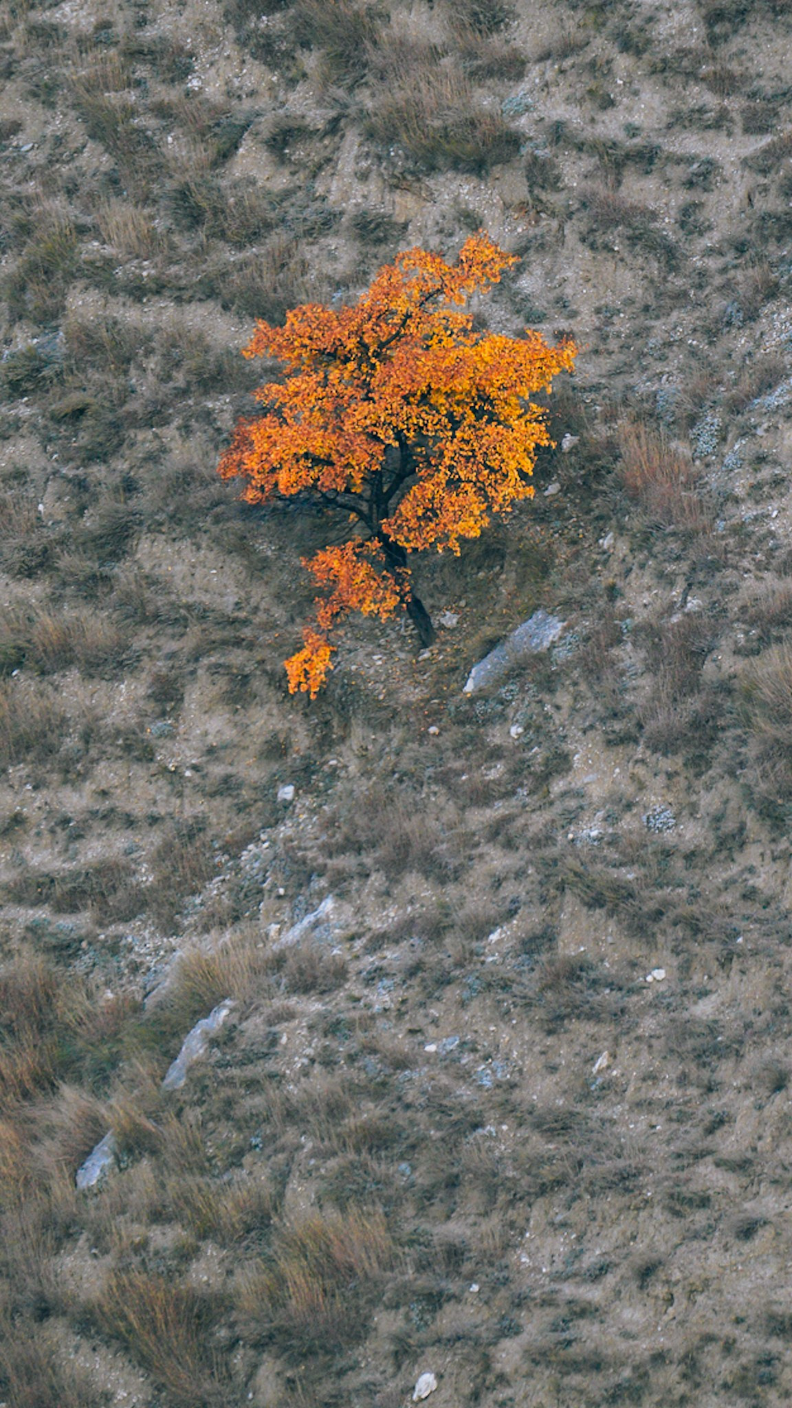 Дагестан 2023. Человек с фотокамерой