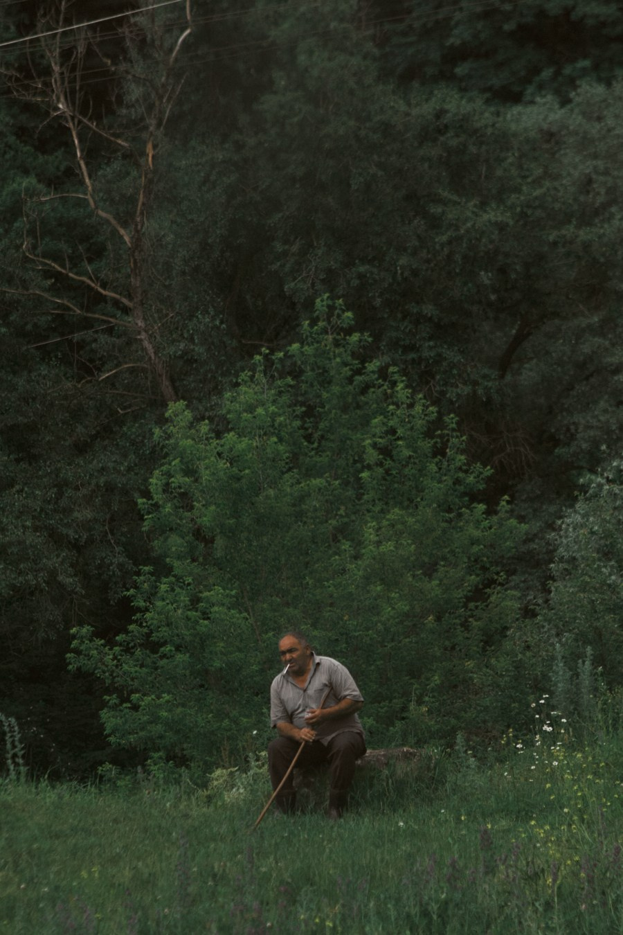 Армения 22г. Фотограф и оператор мероприятий, концертов и портретов в городе Москва
