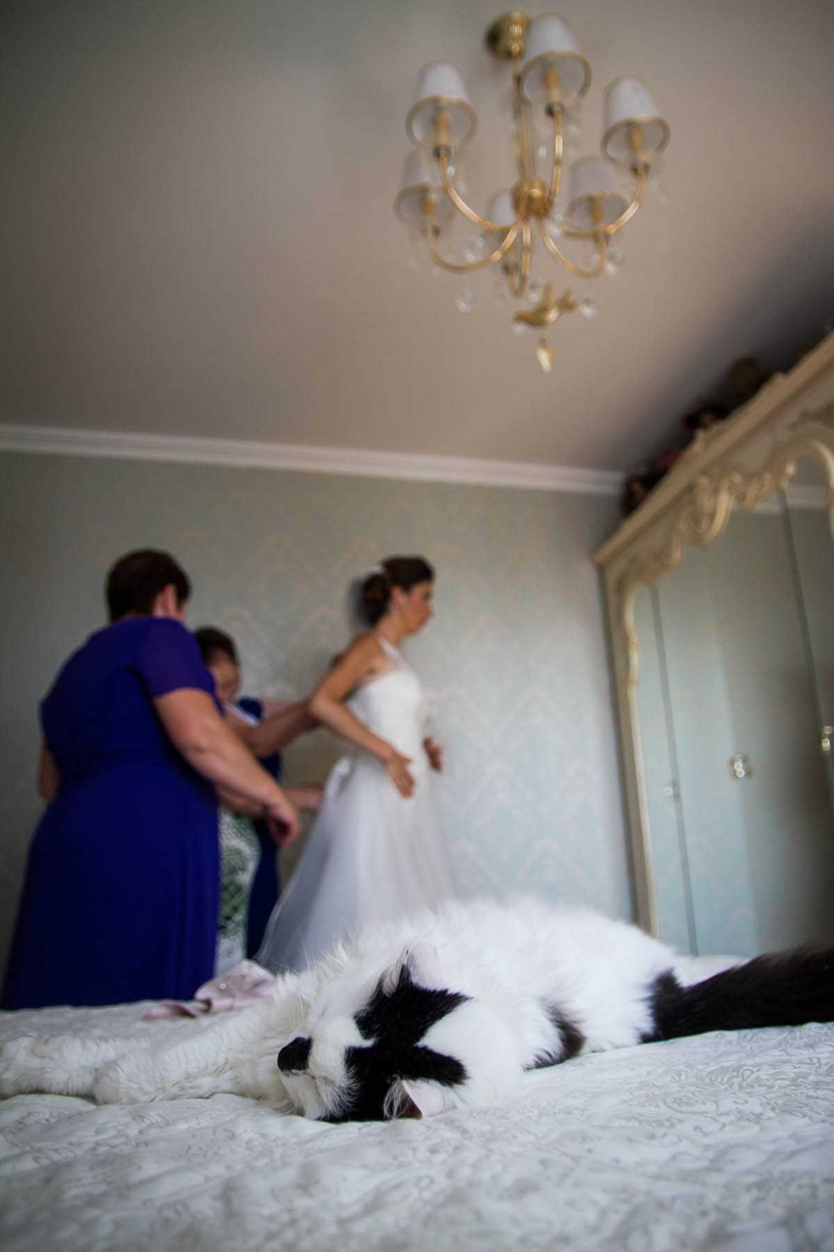 Яркие моменты с разных свадеб (2008–2024 гг). Семейный и детский фотограф в Москве Мария Быкова