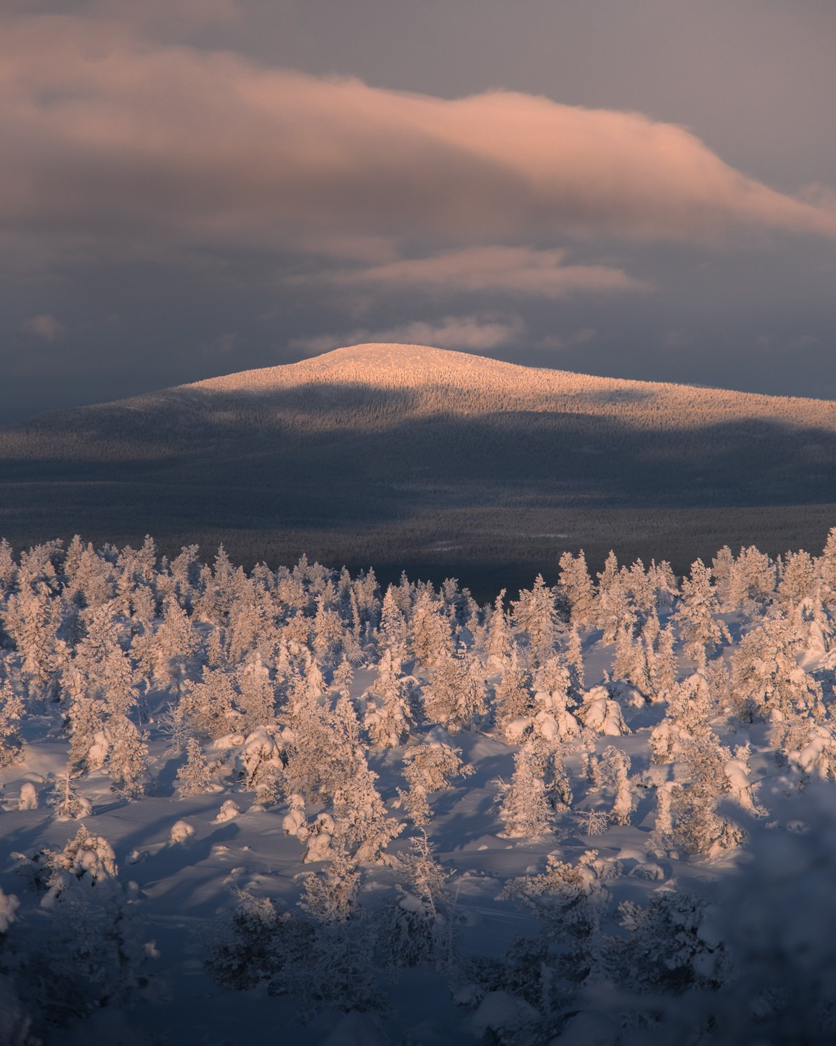 КАНДАЛАКША | БЕЛОЕ МОРЕ. Пейзажный и тревел-фотограф Алексей Соколенко