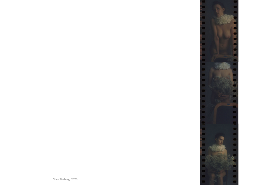 See into the trees — zine. Pictorial dream — fine art fil photography by Yaroslav Pavlov