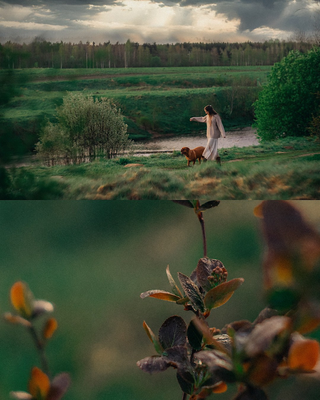 Оксана, Иван и Мандаринка. Фотограф анималист в Москве и Санкт-Петербурге Свиридова Анна
