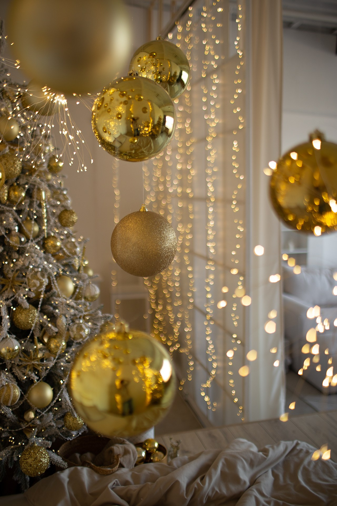 Фотостудии. Фотограф Яна Каменькова l Омск