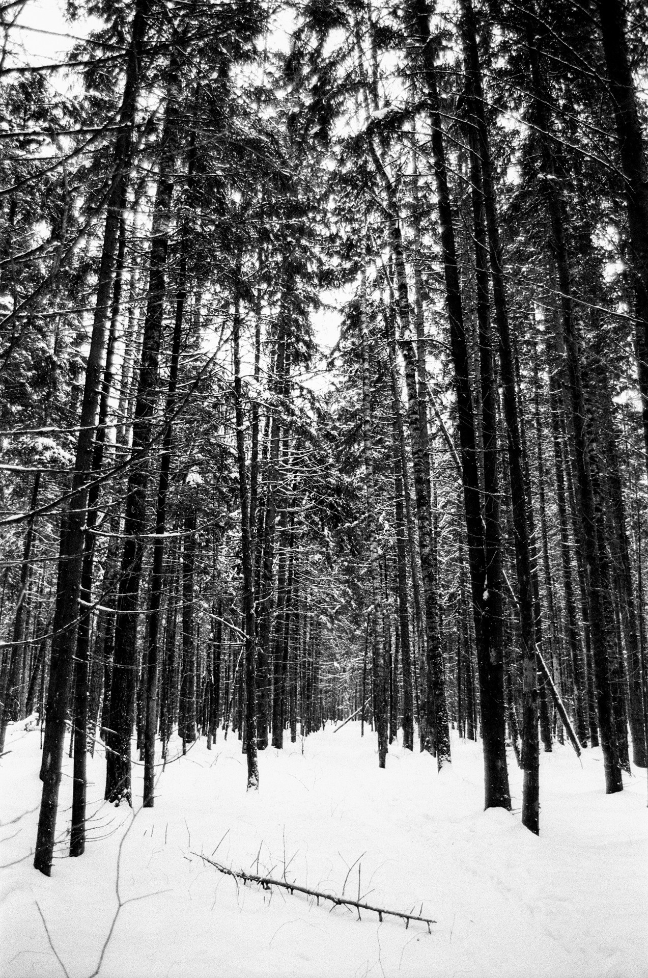 Pentax Z1-P — Pentax FA 28-70mm f4 / Kodak Double X 5222 BW ISO 250