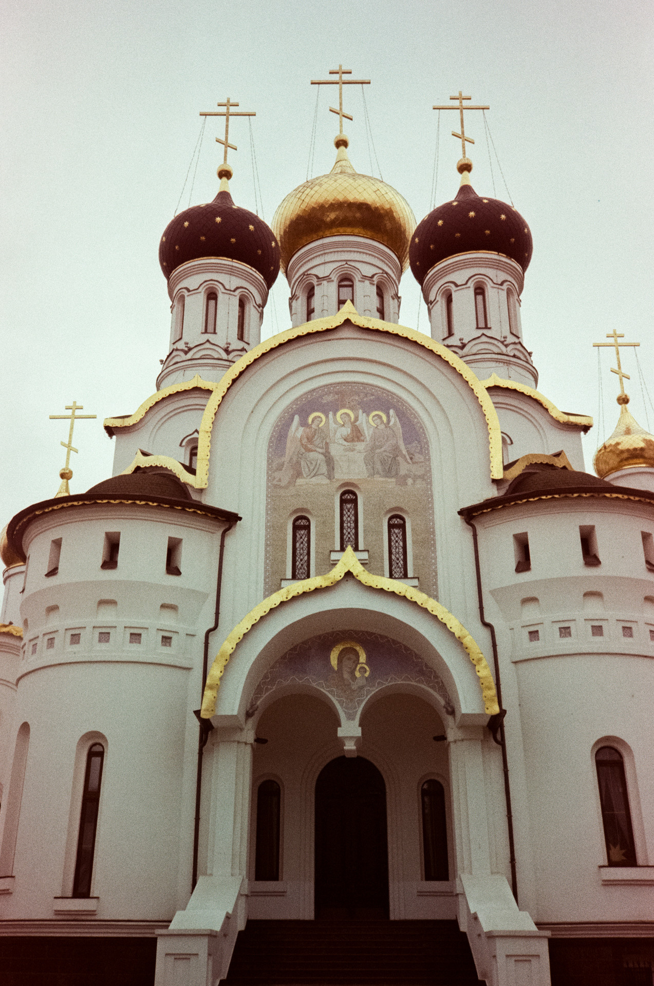 Kodak Gold 200 at ISO 100 / Fuji DL300