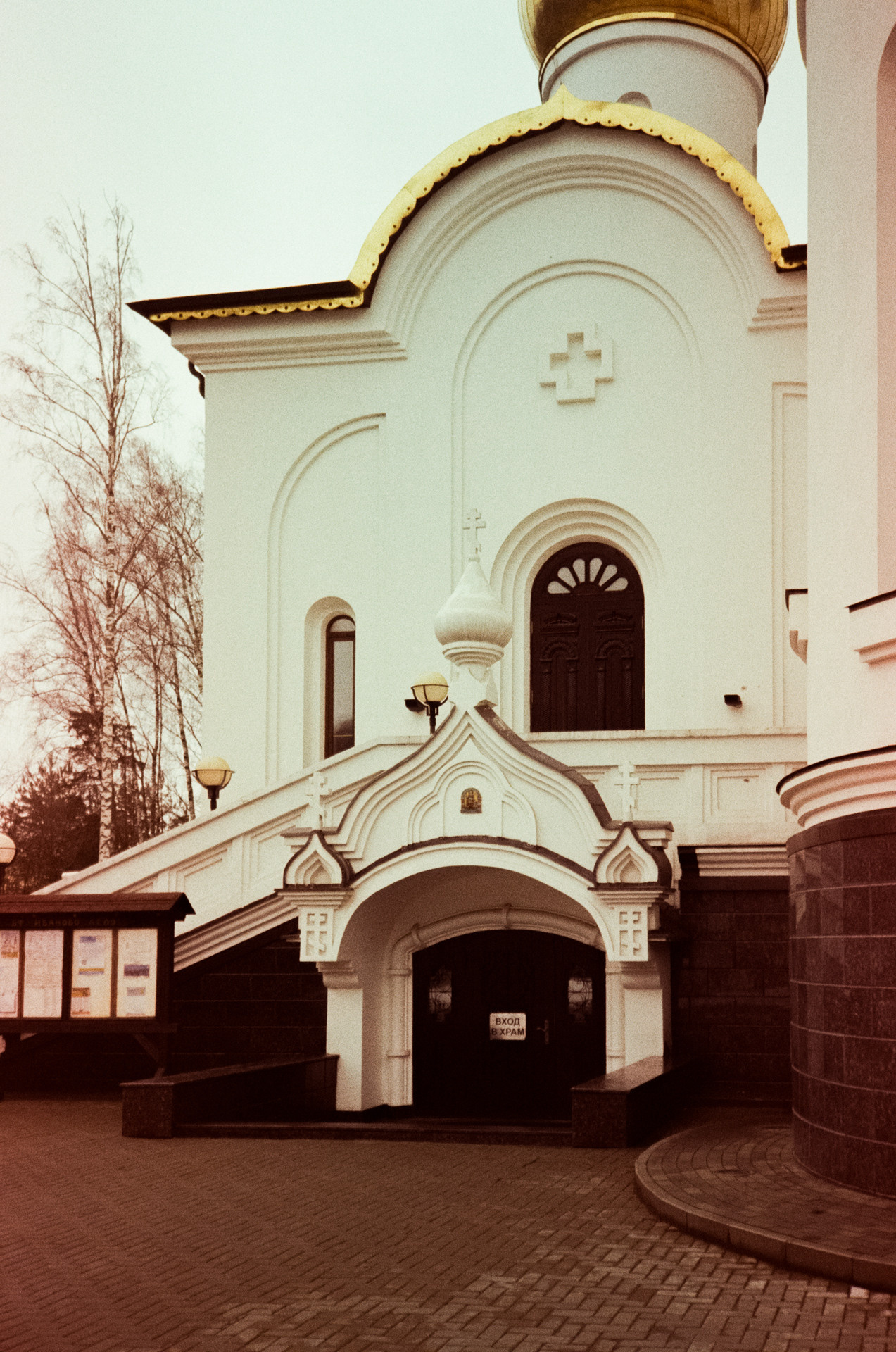 Kodak Gold 200 at ISO 100 / Fuji DL300