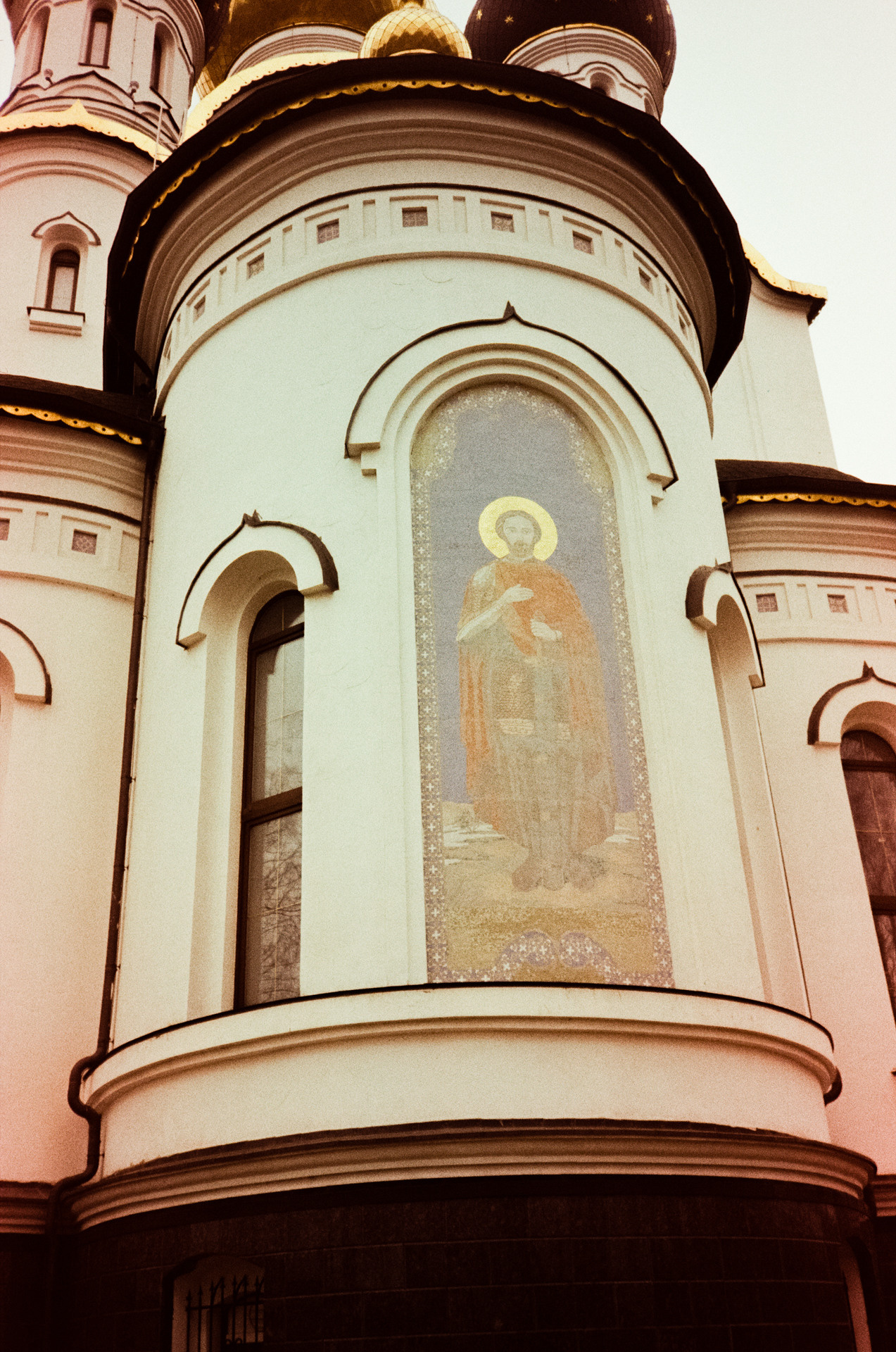 Kodak Gold 200 at ISO 100 / Fuji DL300