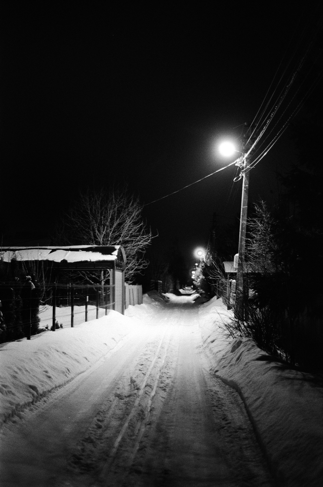 Nikon F100 — Nikon 50 1.8D / SFL Т-25 ISO 125 BW