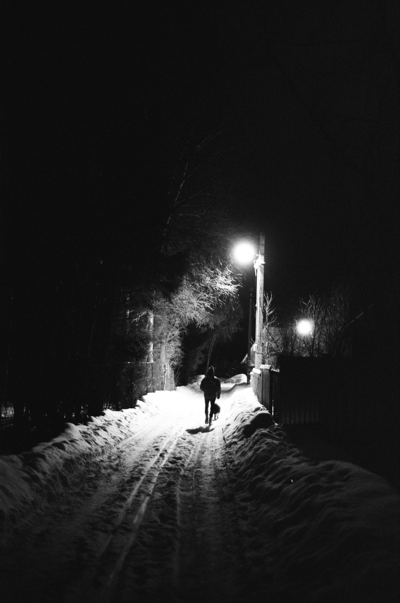 Nikon F100 — Nikon 50 1.8D / SFL Т-25 ISO 125 BW