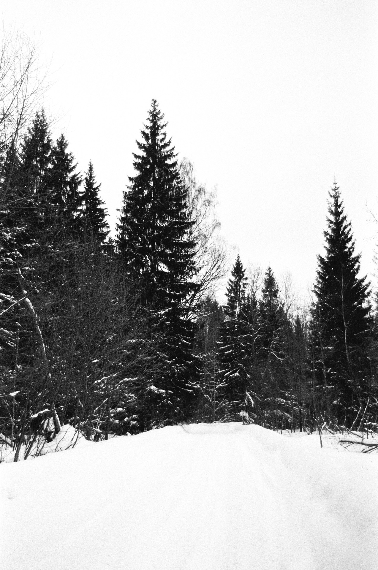 Pentax Z1-P — Pentax FA 28-70mm f4 / Kodak Double X 5222 BW ISO 250