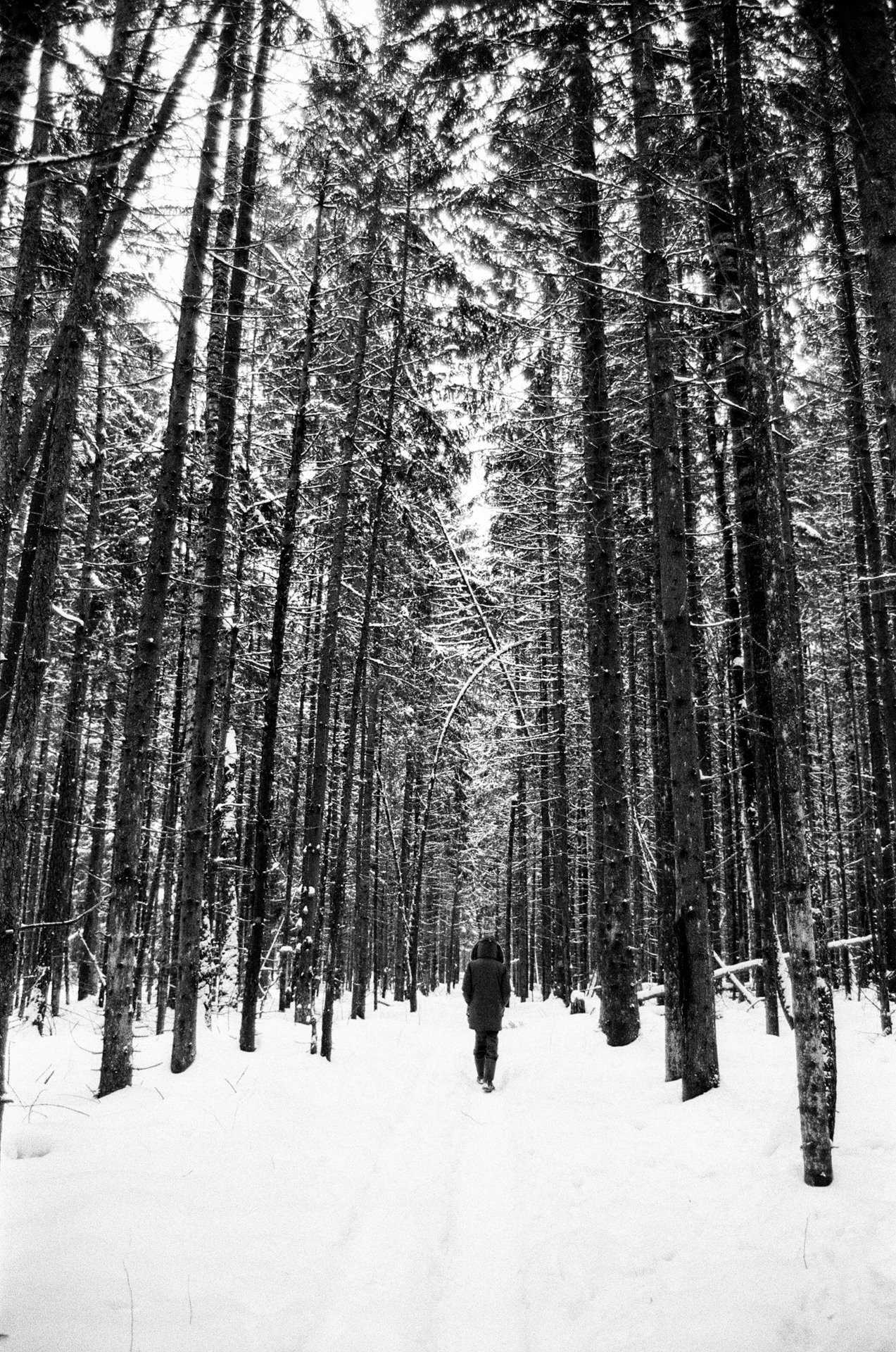 Pentax Z1-P — Pentax FA 28-70mm f4 / Kodak Double X 5222 BW ISO 250