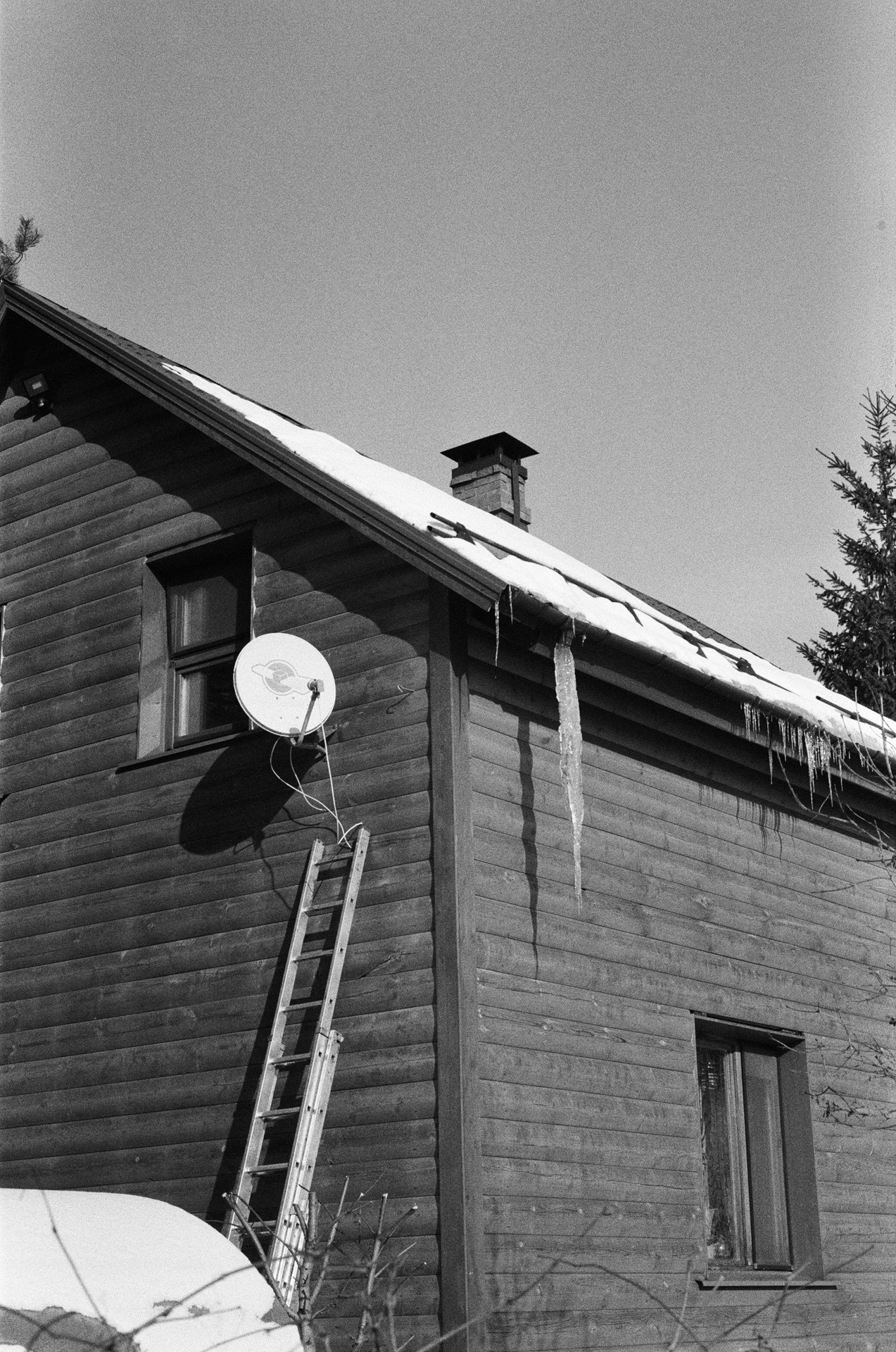 Nikon F100 — Nikon 50 1.8D / SFL Т-25 ISO 125 BW