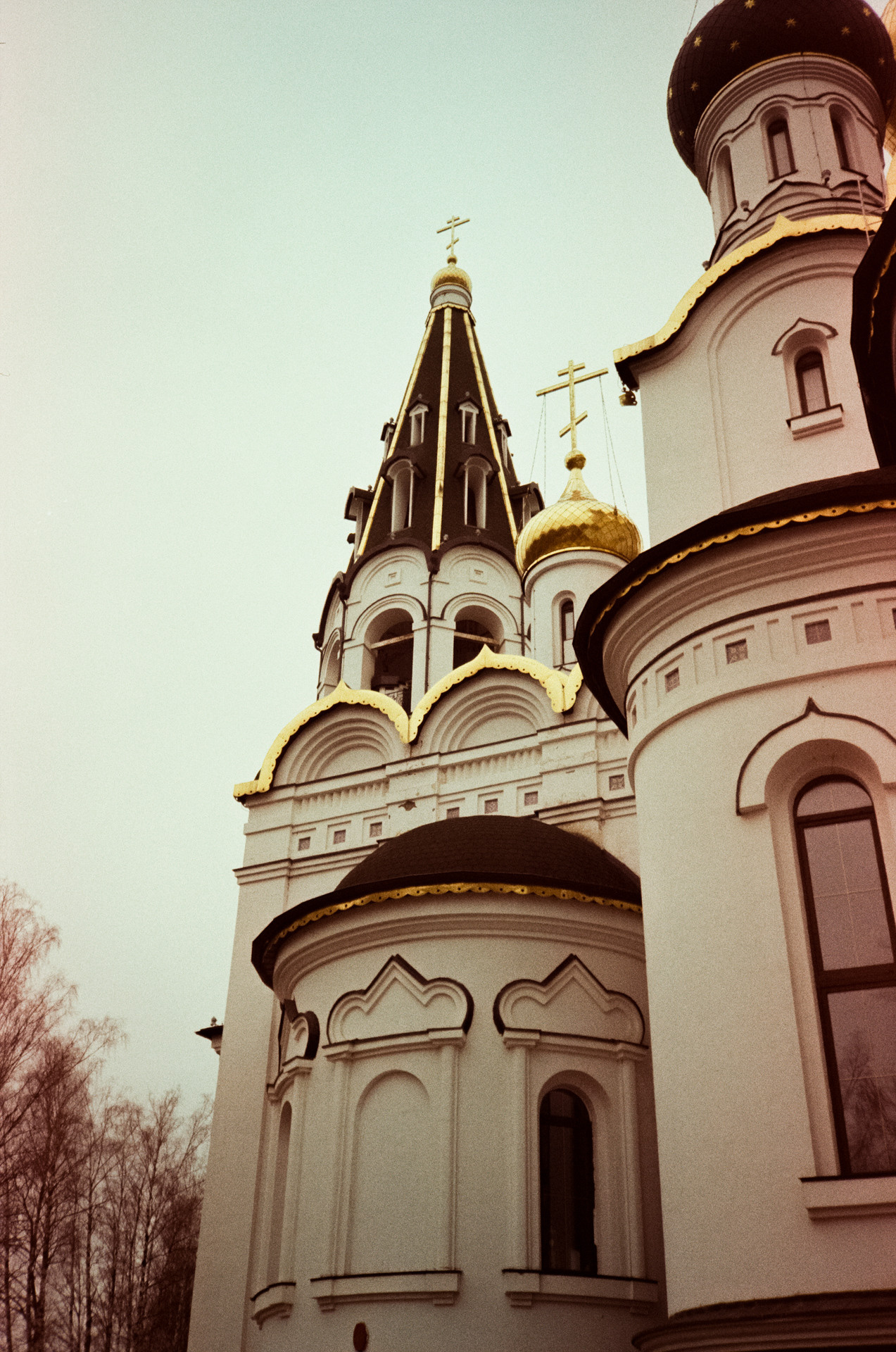 Kodak Gold 200 at ISO 100 / Fuji DL300