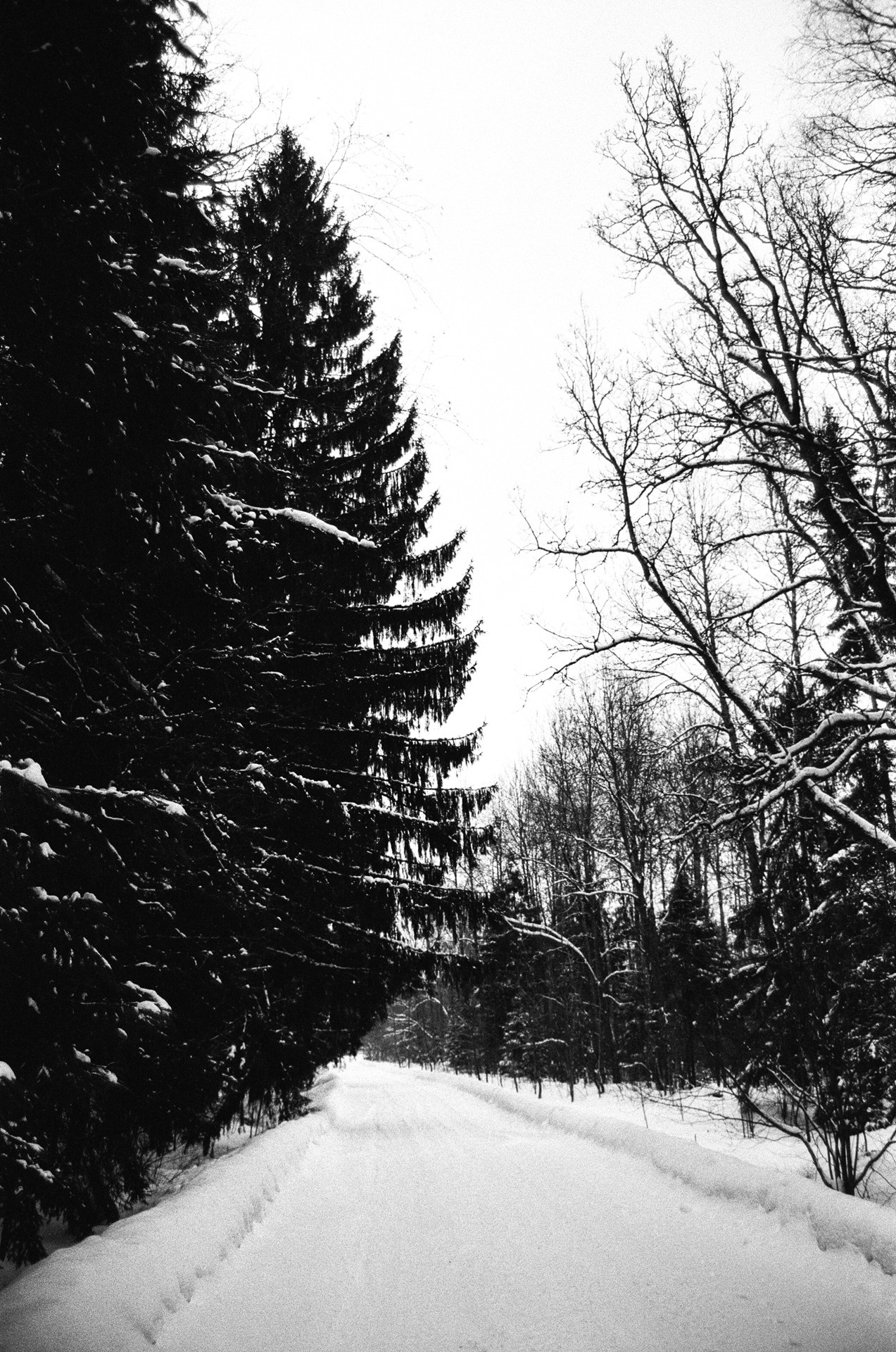 Pentax Z1-P — Pentax FA 28-70mm f4 / Kodak Double X 5222 BW ISO 250