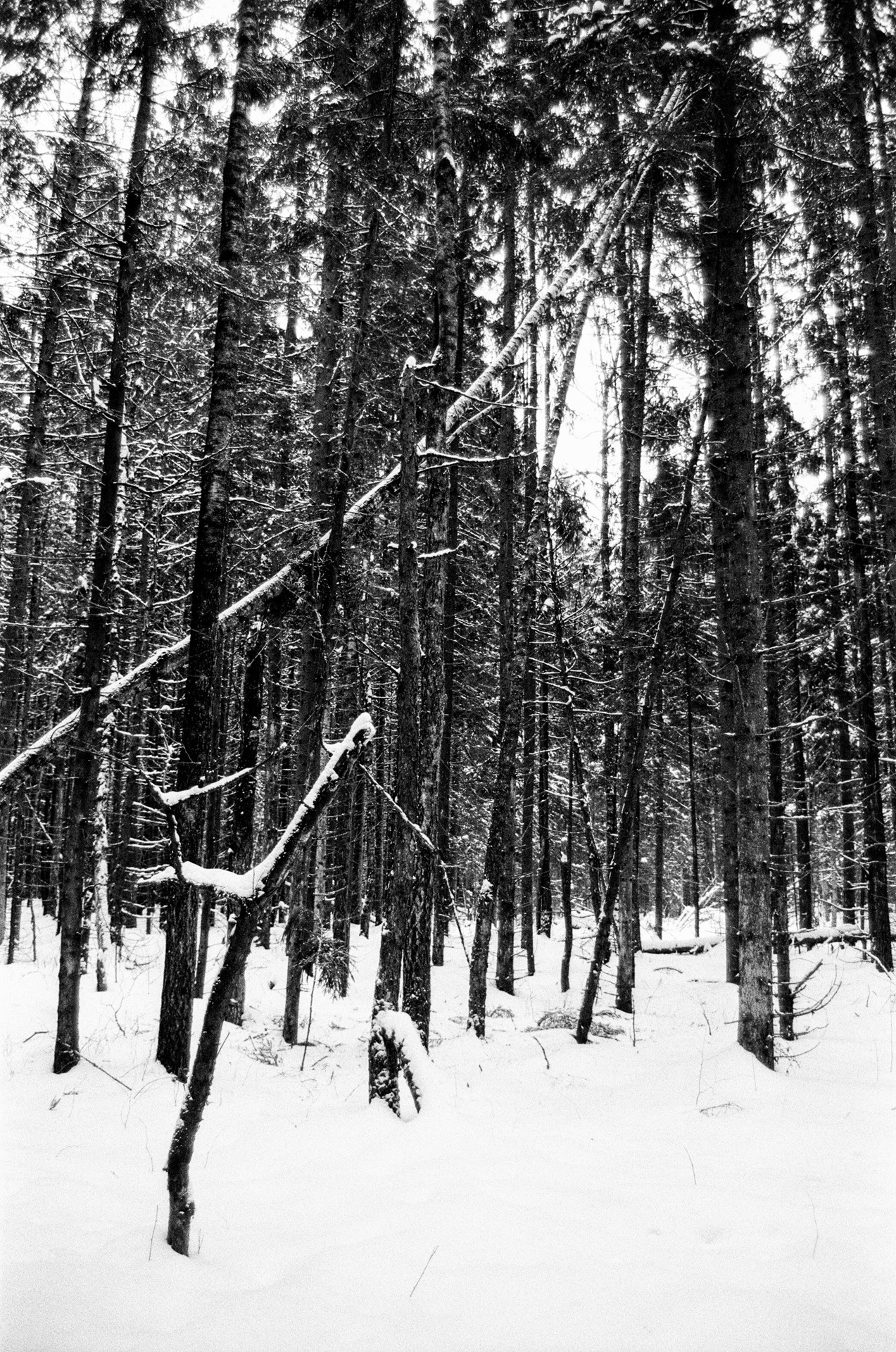 Pentax Z1-P — Pentax FA 28-70mm f4 / Kodak Double X 5222 BW ISO 250