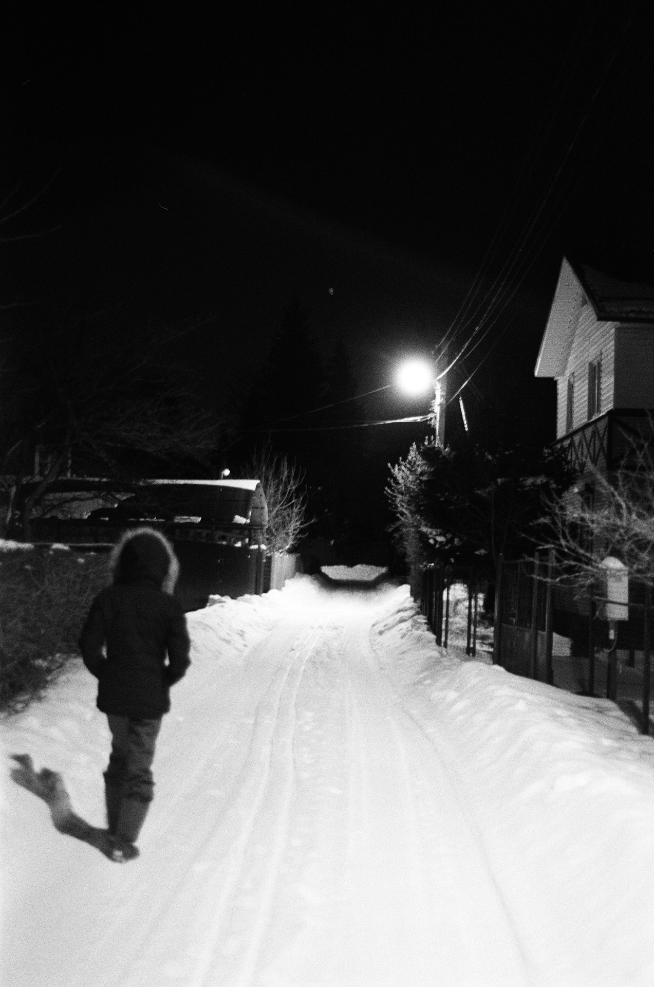 Nikon F100 — Nikon 50 1.8D / SFL Т-25 ISO 125 BW