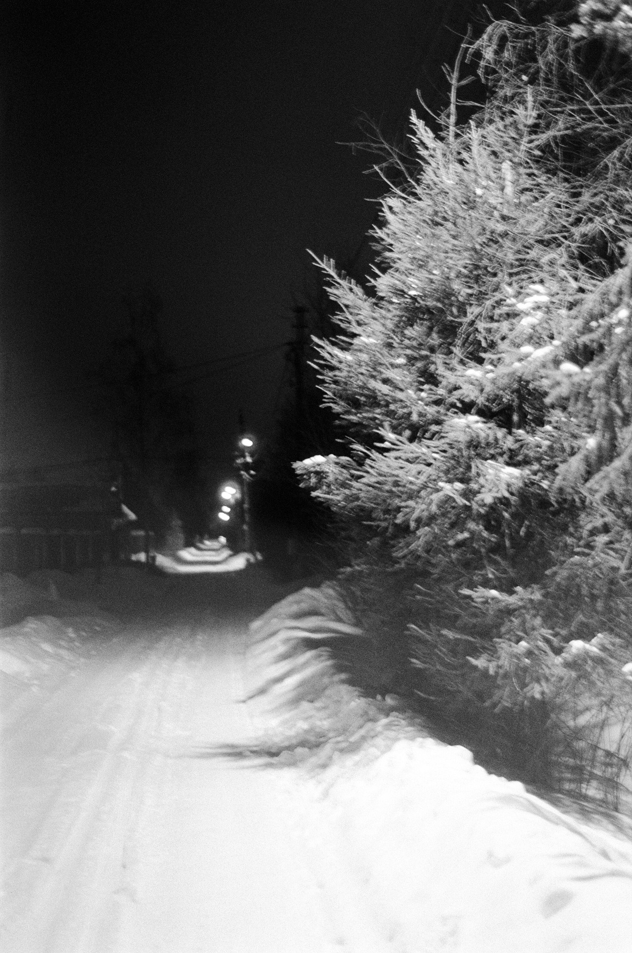 Nikon F100 — Nikon 50 1.8D / SFL Т-25 ISO 125 BW