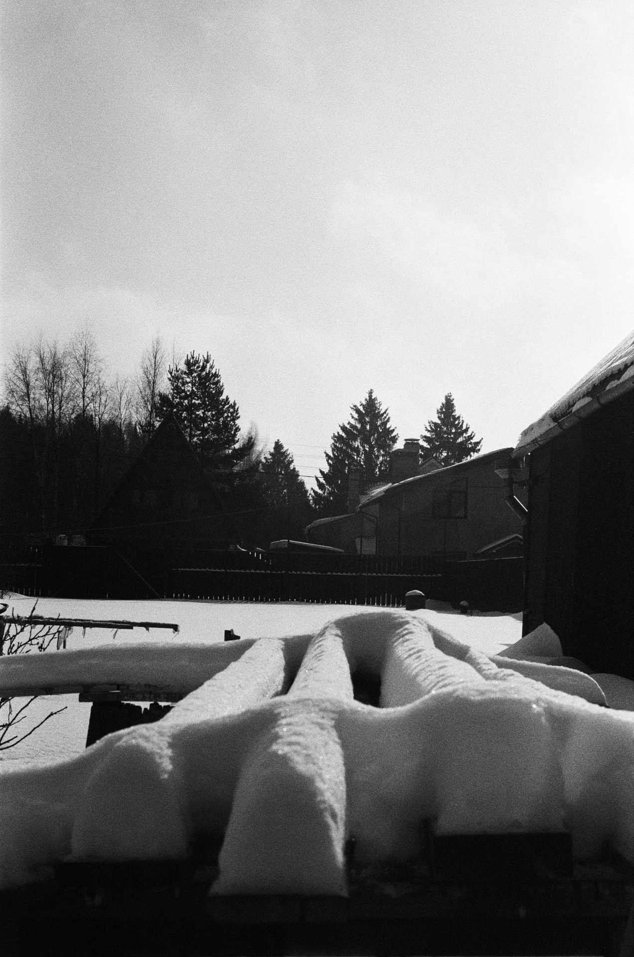 Nikon F100 — Nikon 50 1.8D / SFL Т-25 ISO 125 BW