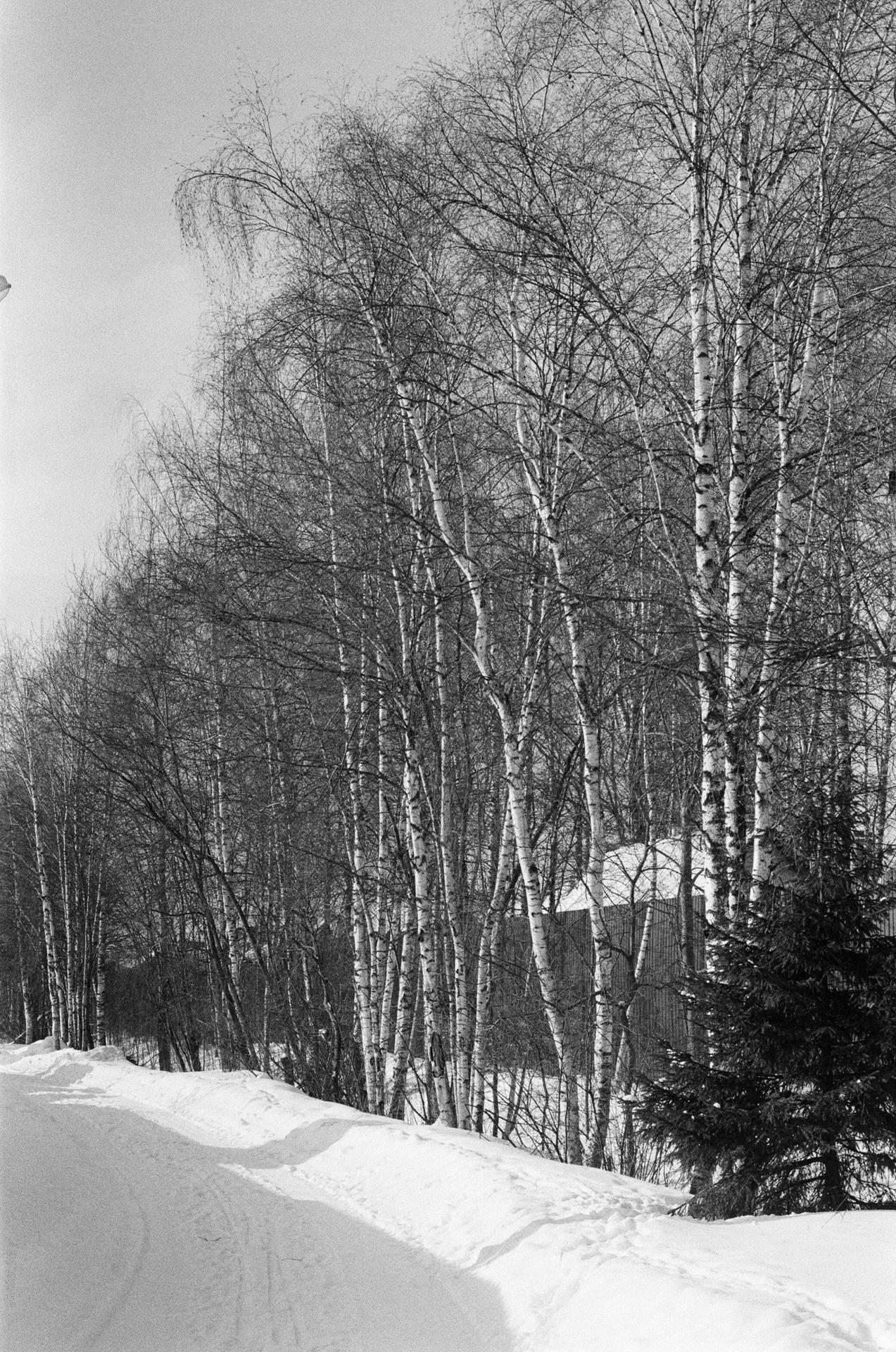 Nikon F100 — Nikon 50 1.8D / SFL Т-25 ISO 125 BW