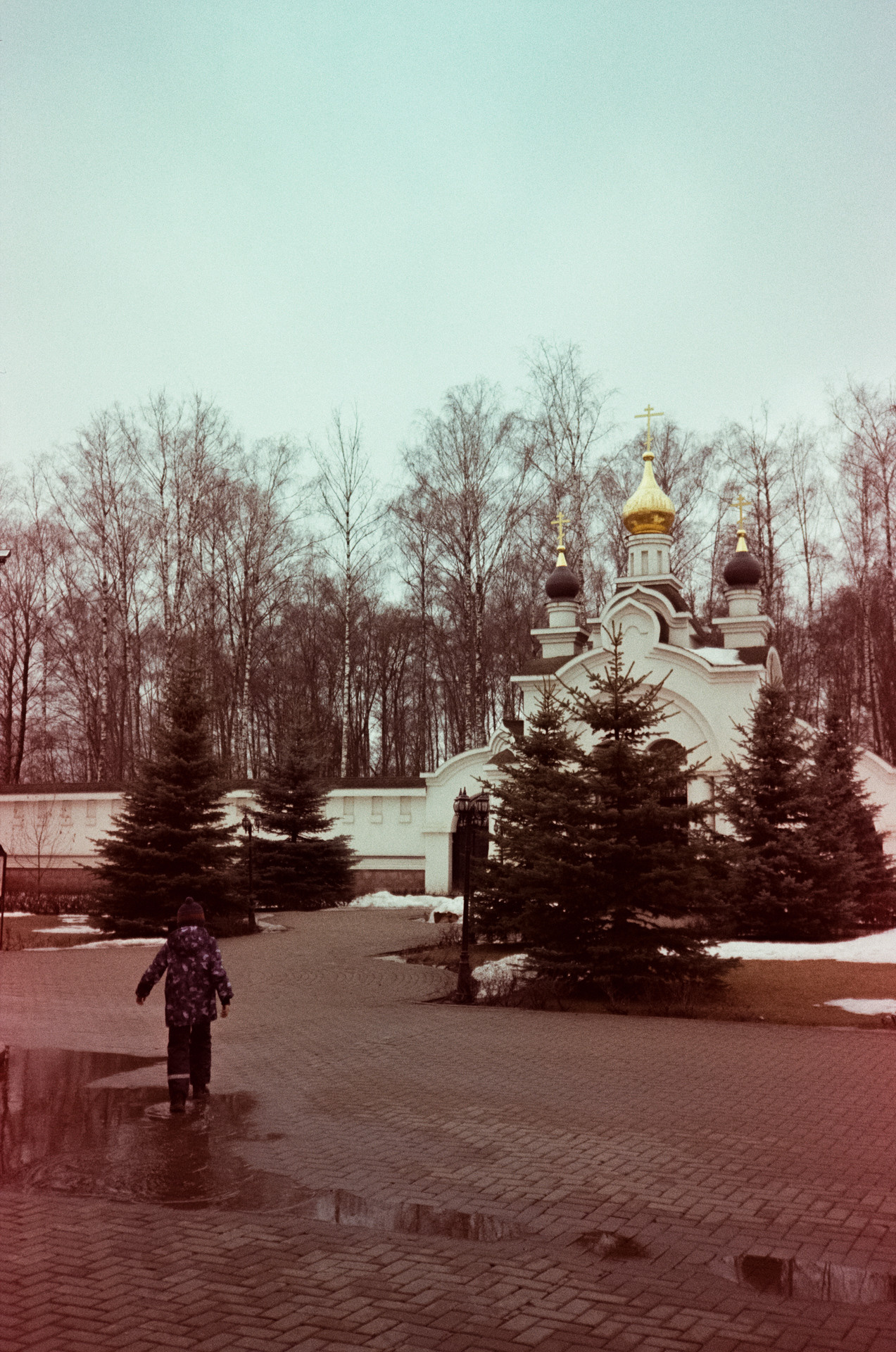 Kodak Gold 200 at ISO 100 / Fuji DL300