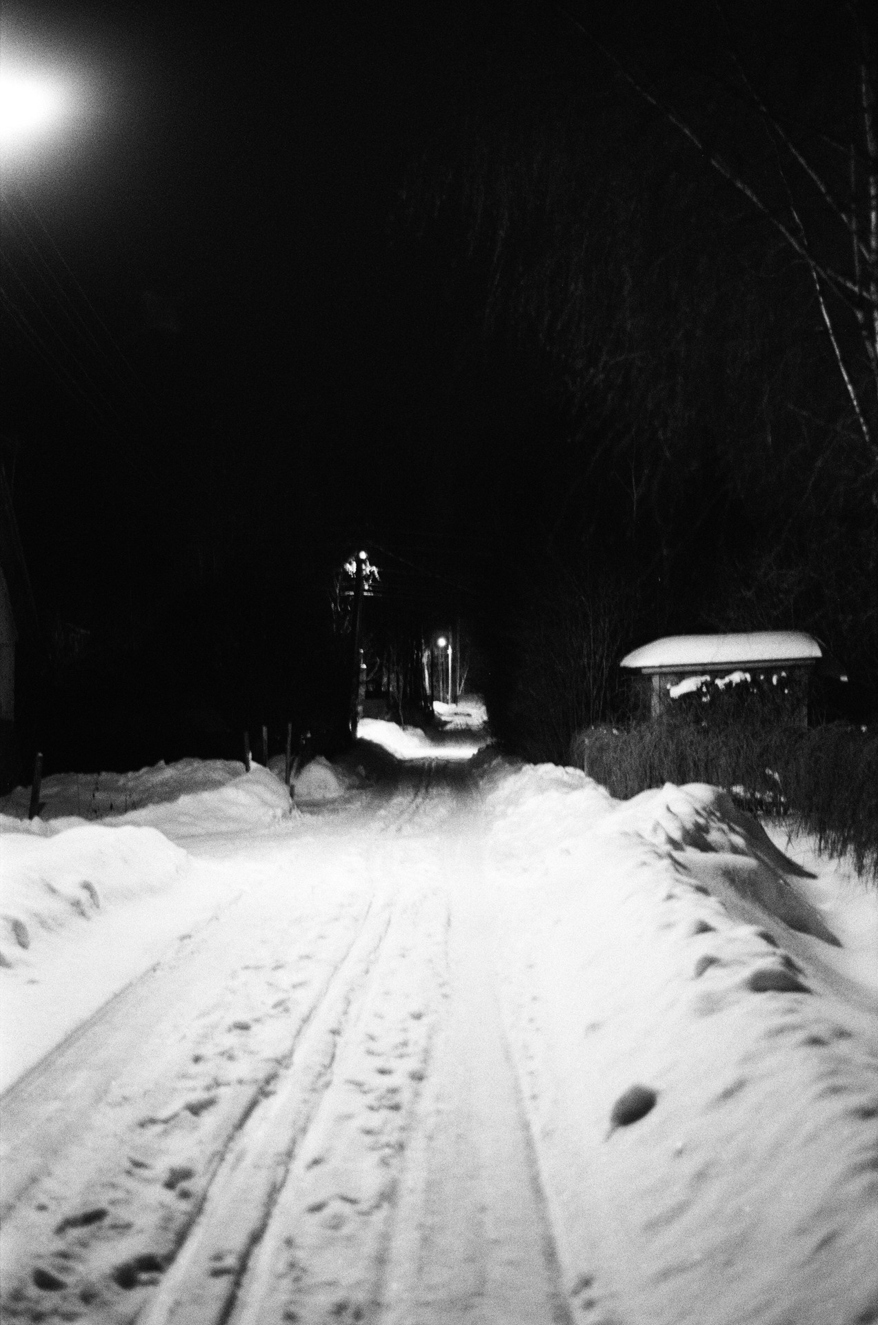 Nikon F100 — Nikon 50 1.8D / SFL Т-25 ISO 125 BW