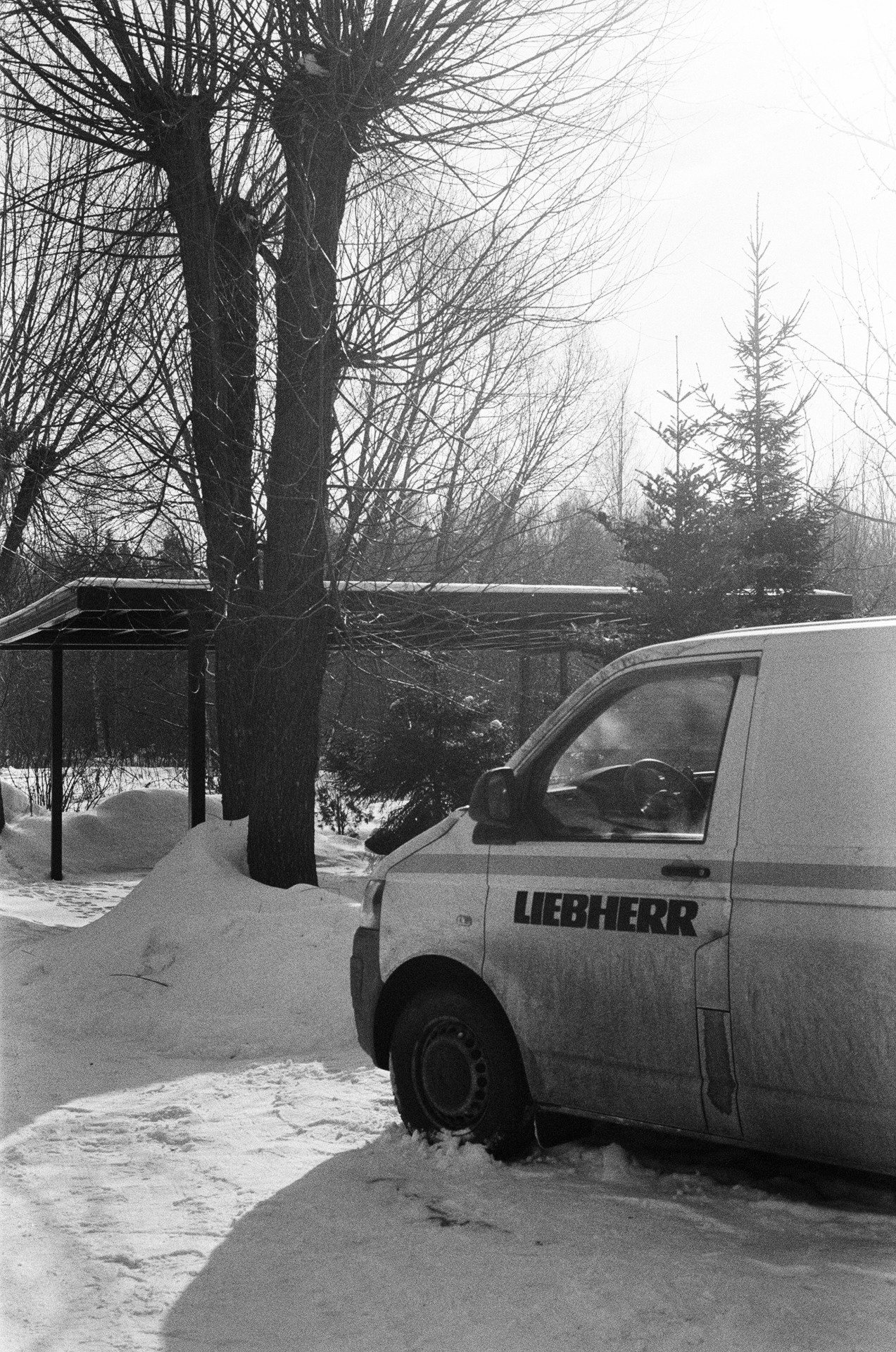 Nikon F100 — Nikon 50 1.8D / SFL Т-25 ISO 125 BW