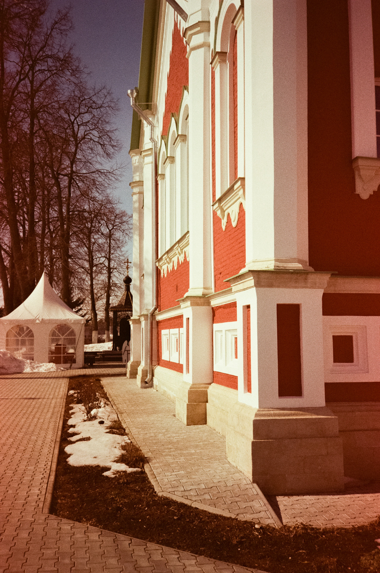 Kodak Gold 200 at ISO 100 / Fuji DL300