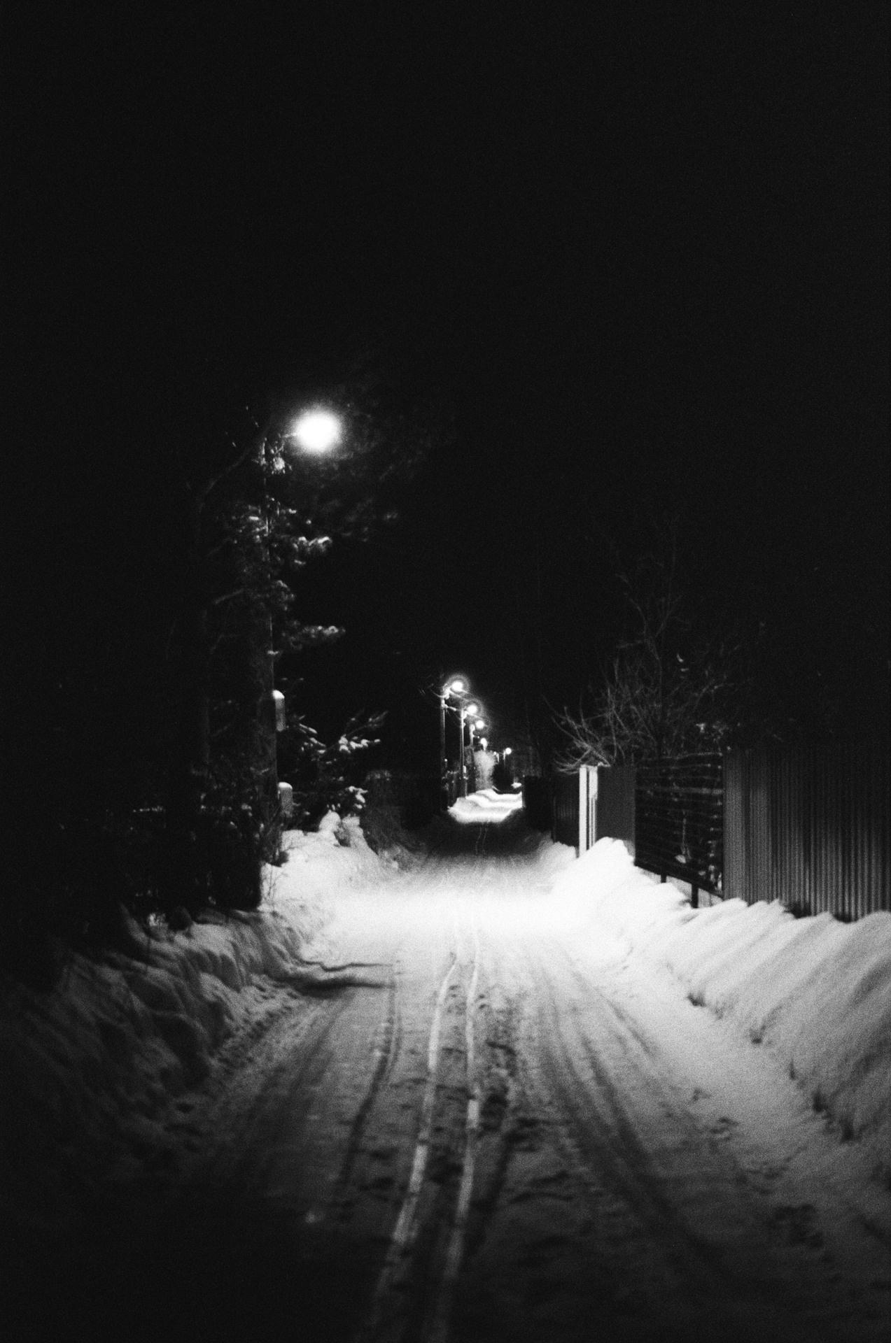 Nikon F100 — Nikon 50 1.8D / SFL Т-25 ISO 125 BW