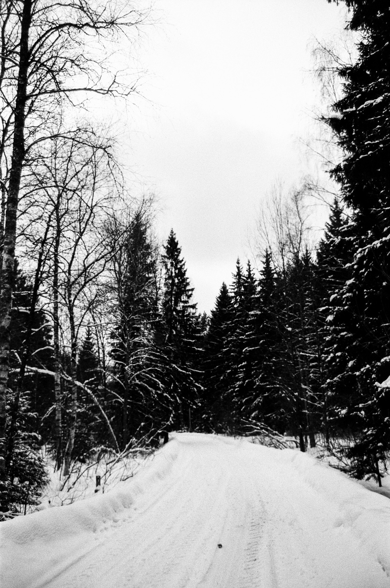 Pentax Z1-P — Pentax FA 28-70mm f4 / Kodak Double X 5222 BW ISO 250