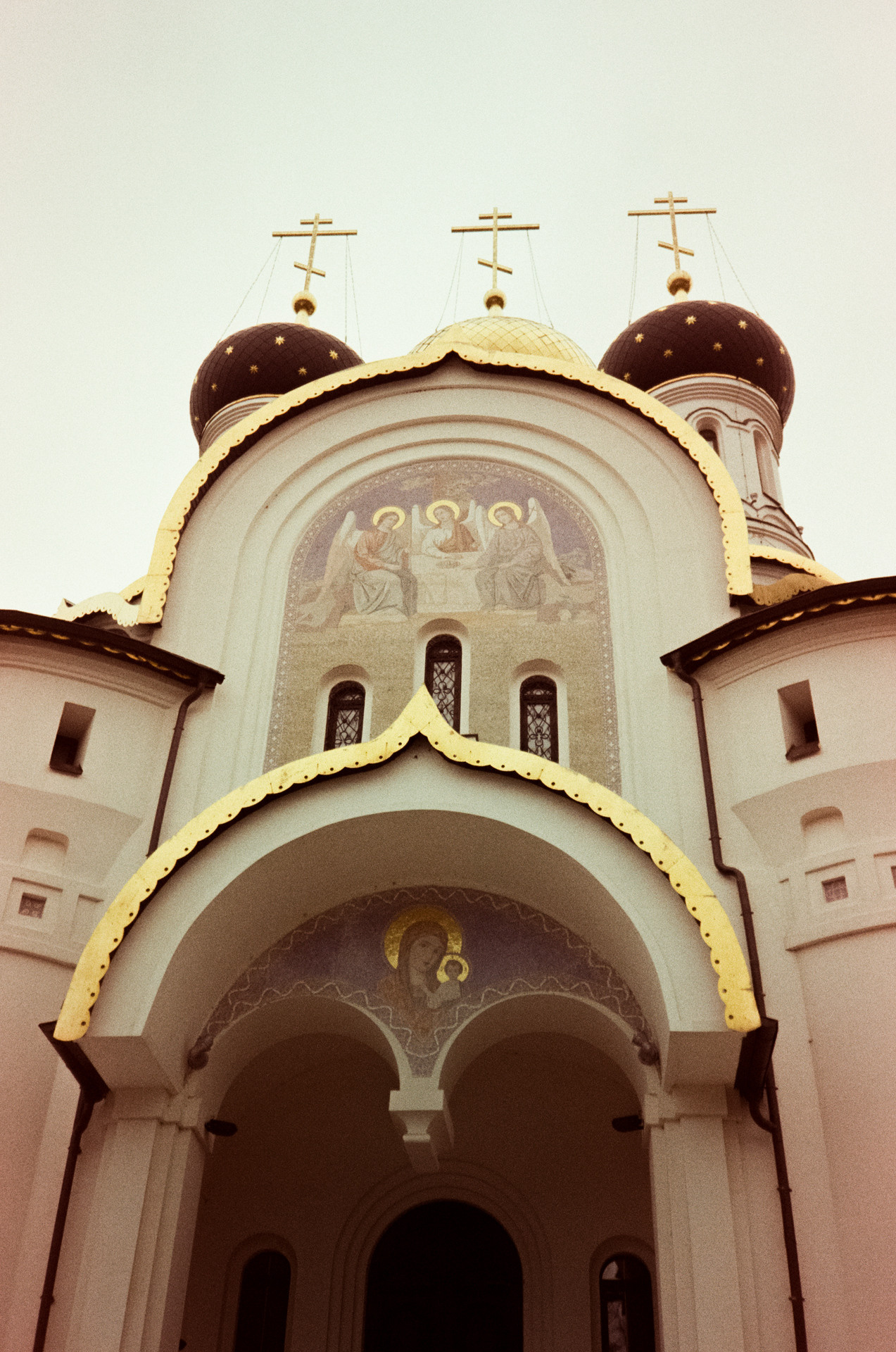 Kodak Gold 200 at ISO 100 / Fuji DL300