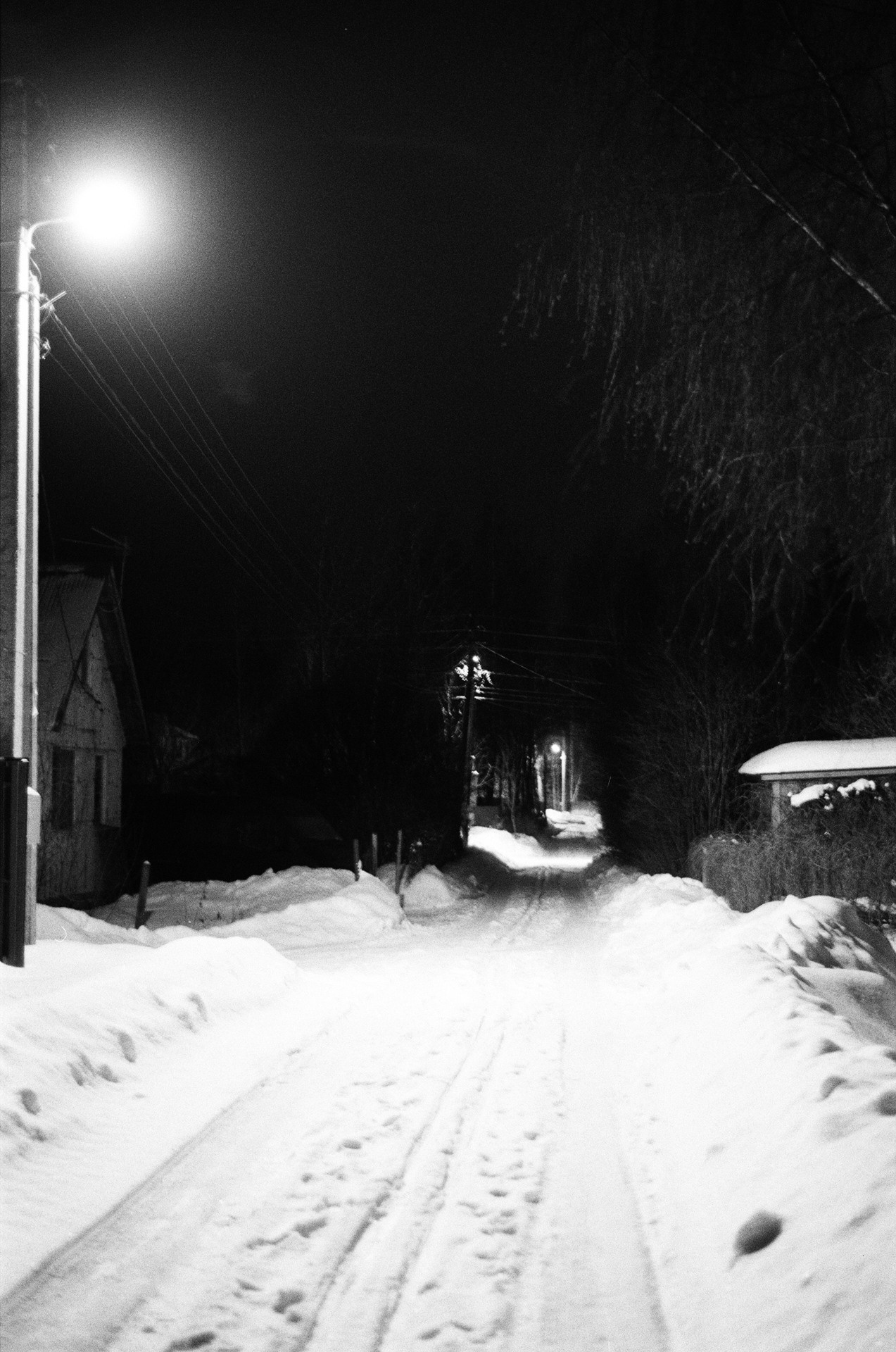 Nikon F100 — Nikon 50 1.8D / SFL Т-25 ISO 125 BW