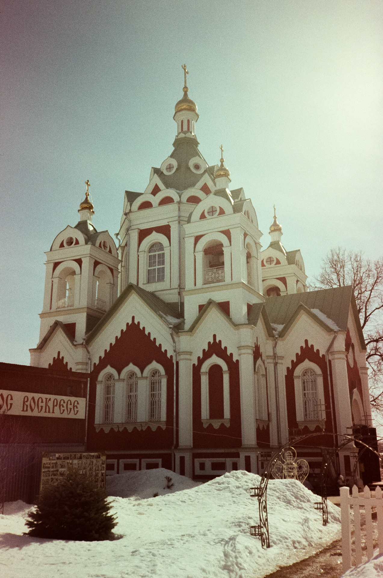 Kodak Gold 200 at ISO 100 / Fuji DL300