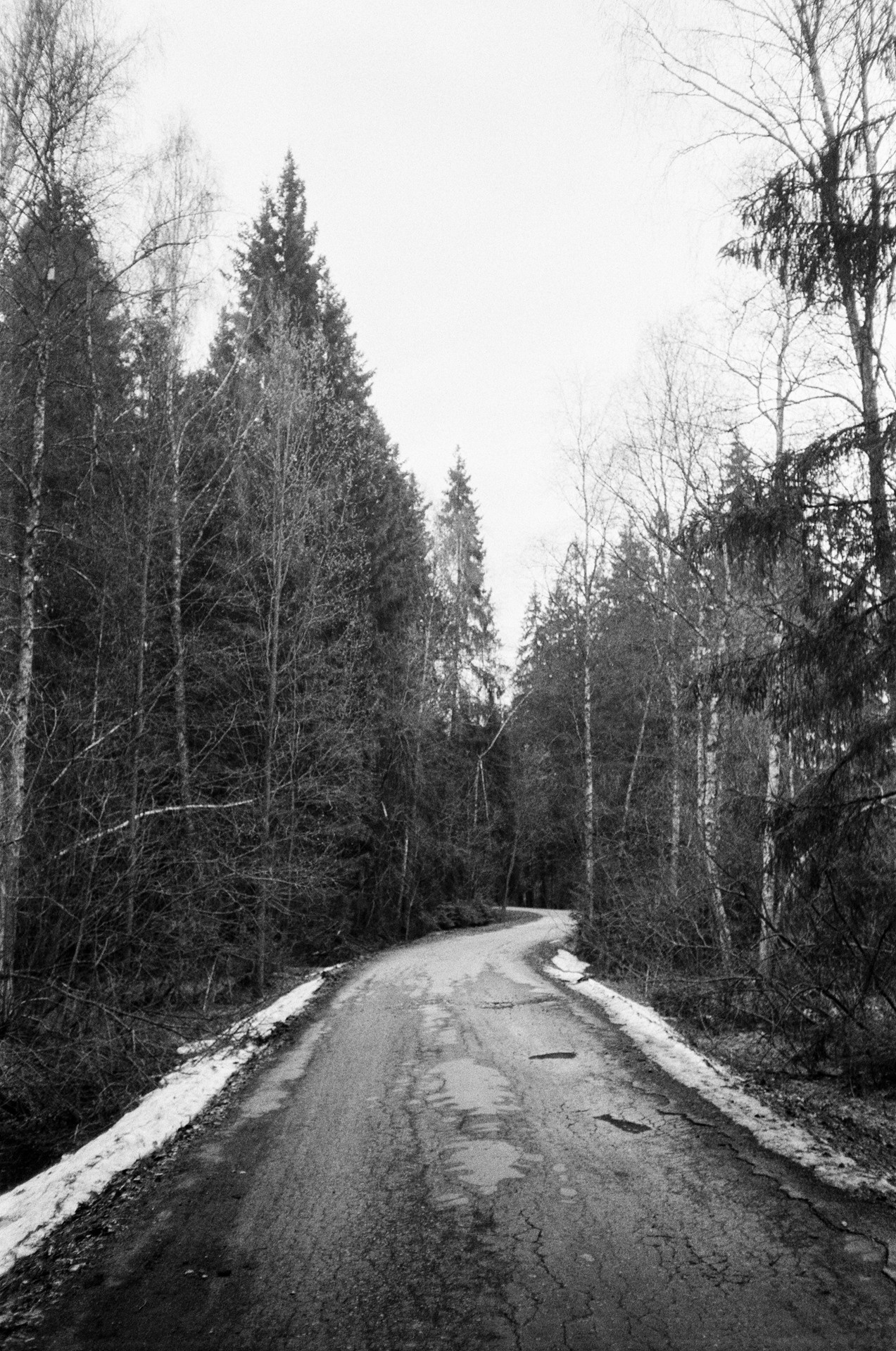 Весна на ЧБ-пленку в Подмосковье, пленка Тасма Т-25 ISO 100