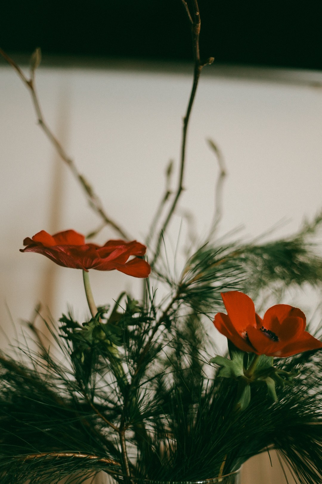 Денис и Оля. Фотограф Нижний Новгород