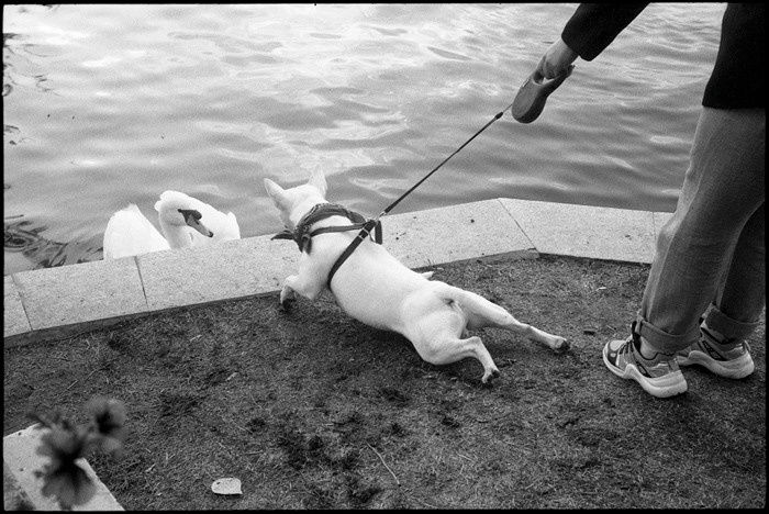 Улица-фотография. Аналоговые карточки