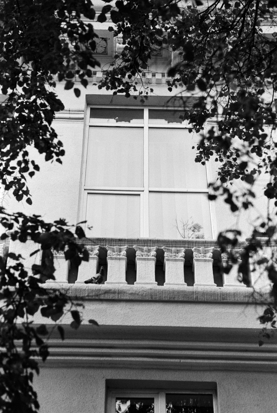 Плёнка ILFORD FP4+