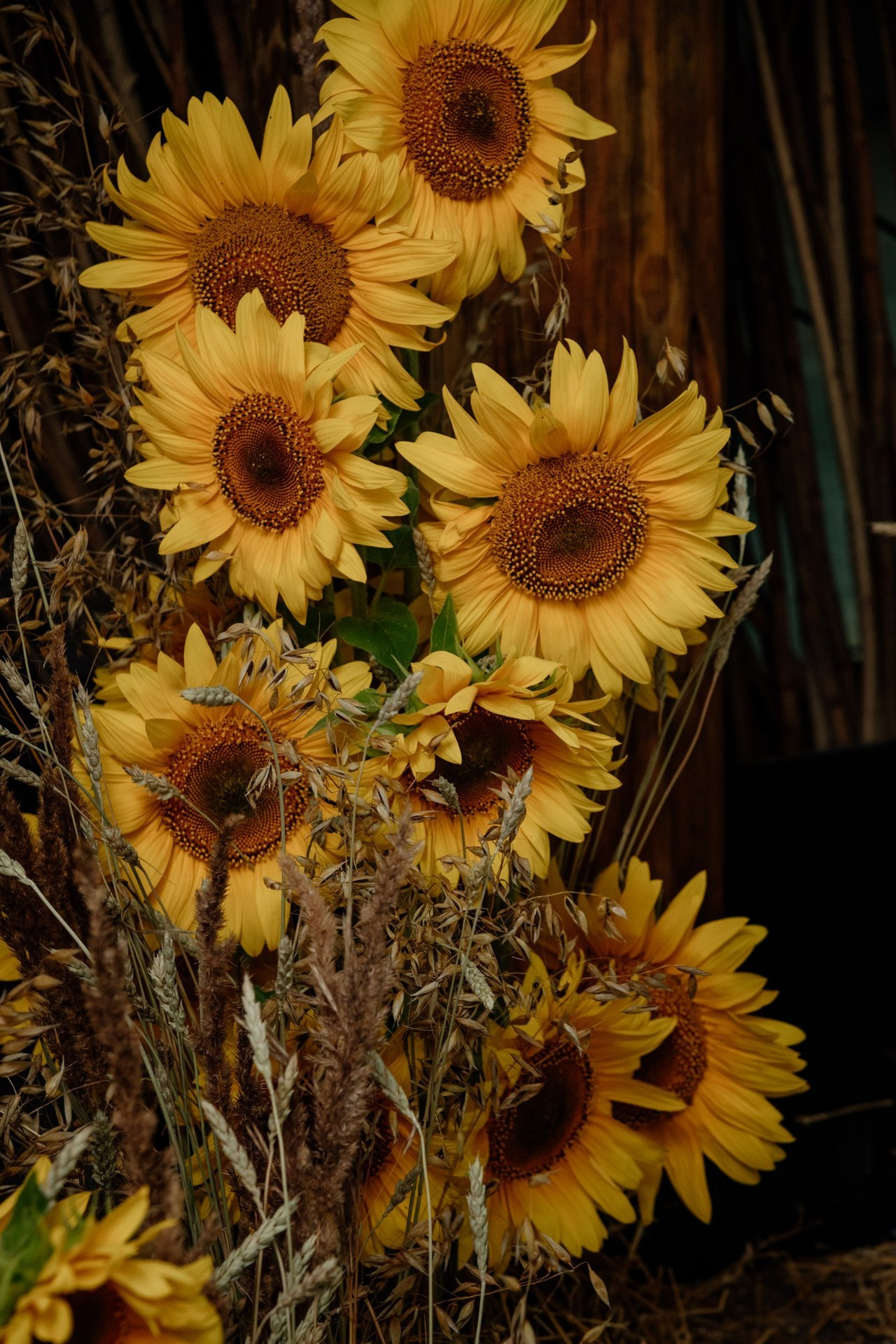 Отзывы. Фотограф Алёна Евграфова