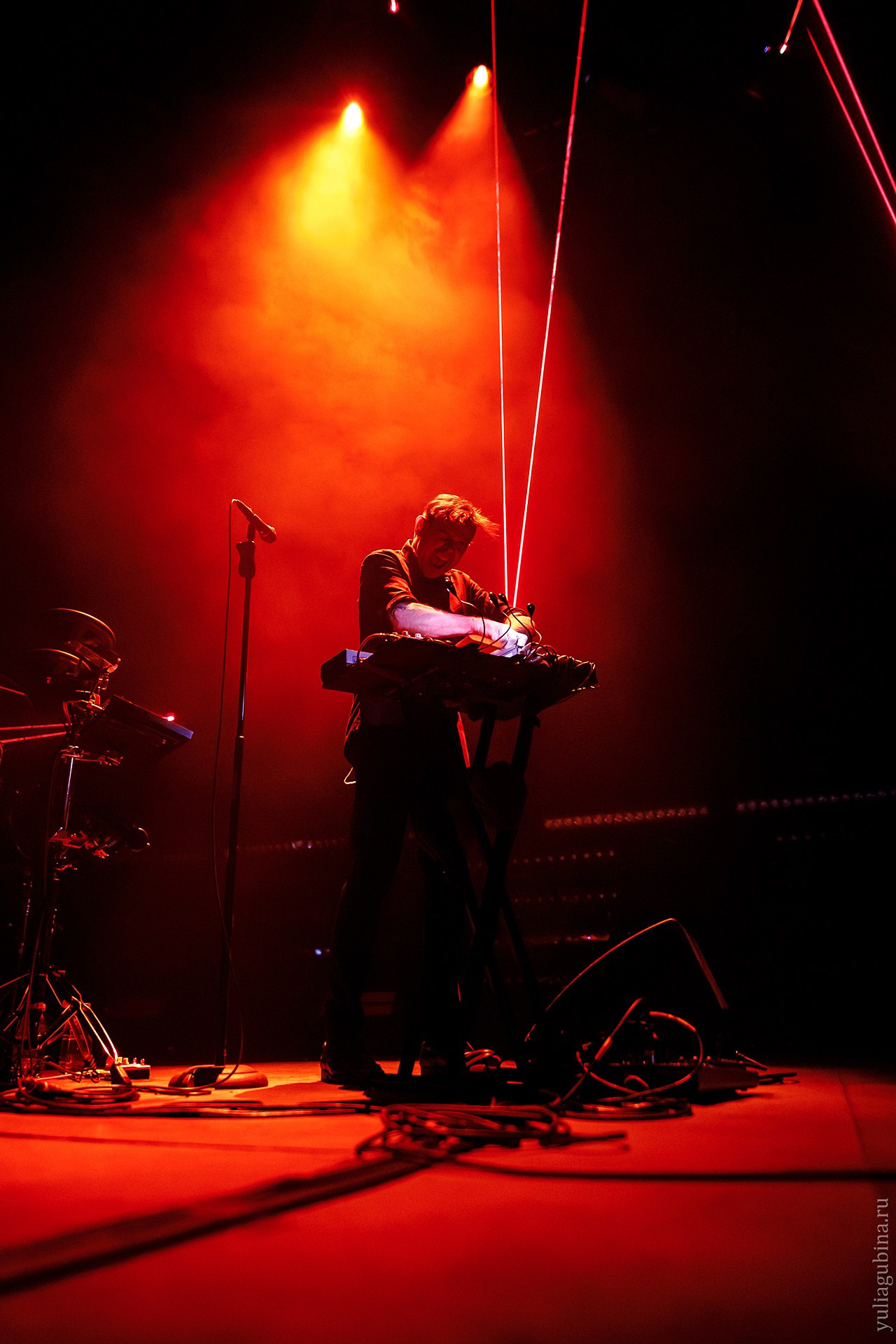 Дельфин, 01.12.24, Atmosphere