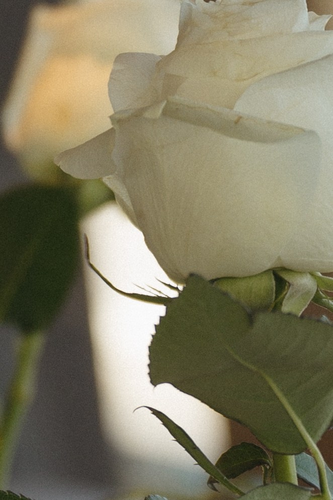 Какая ты красивая!. Фотограф Санкт-Петербург Евгения Корякина (eva_maruu)